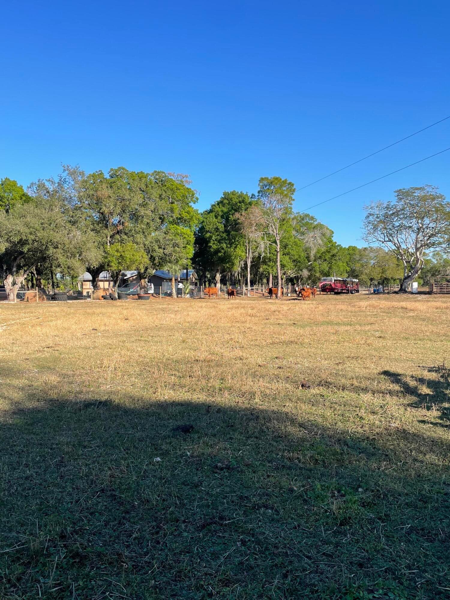 1220 A Road, LaBelle, FL 33935 — photo 32 of 42