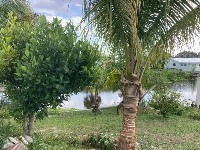 3112 SE 24th St Street, Okeechobee, FL 34974 — photo 39 of 41