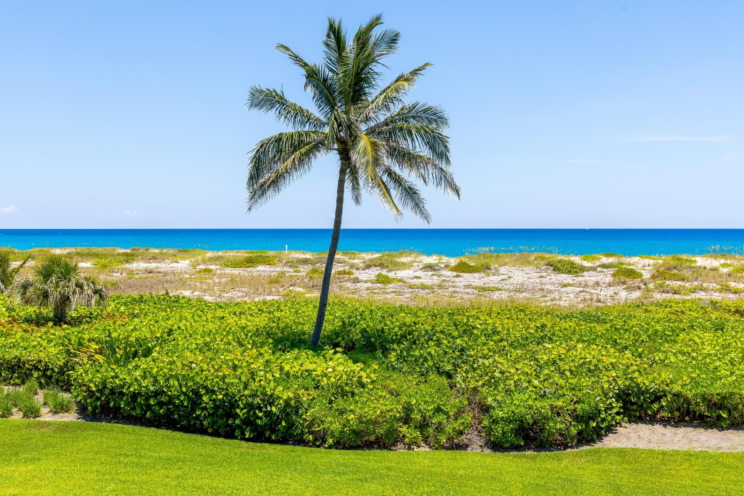 1446 N Ocean Boulevard, Palm Beach, FL 33480 — photo 29 of 65