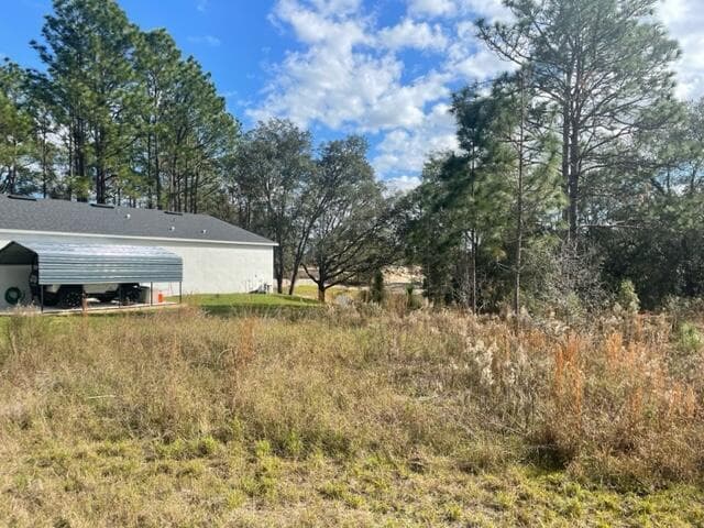 000 Malauka Cir Circle, Ocklawaha, FL 32179 — photo 3 of 9