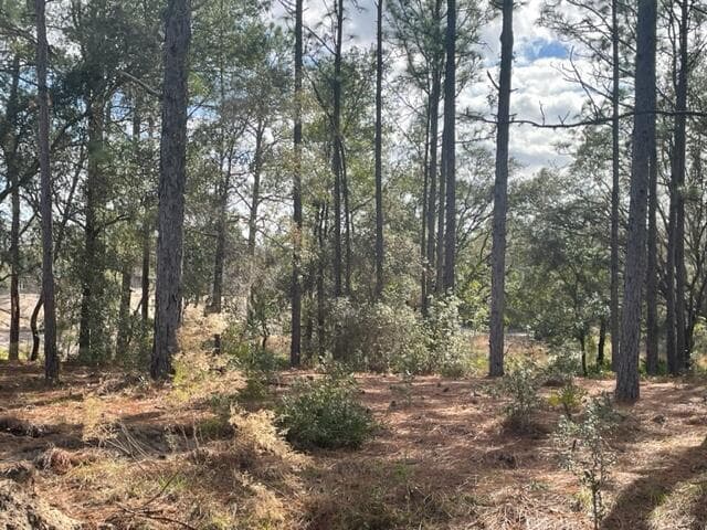 000 Malauka Cir Circle, Ocklawaha, FL 32179 — photo 5 of 9