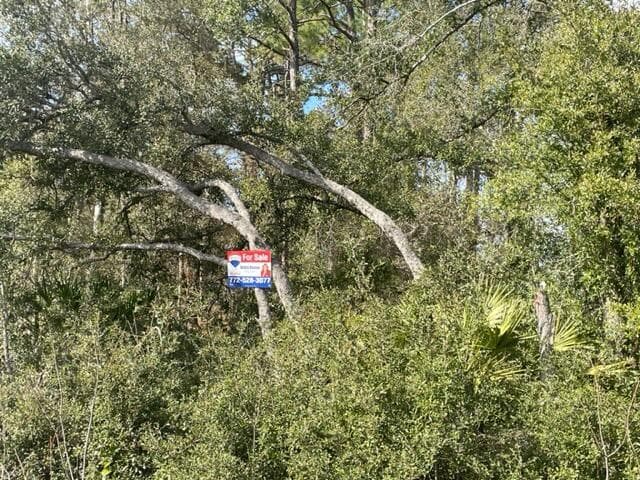 000 Malauka Cir Circle, Ocklawaha, FL 32179 — photo 8 of 9