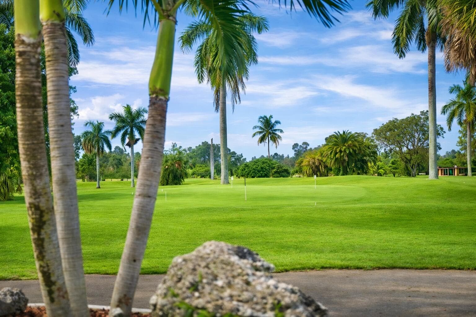 3225 South Street, Hollywood, FL 33021 — photo 48 of 55