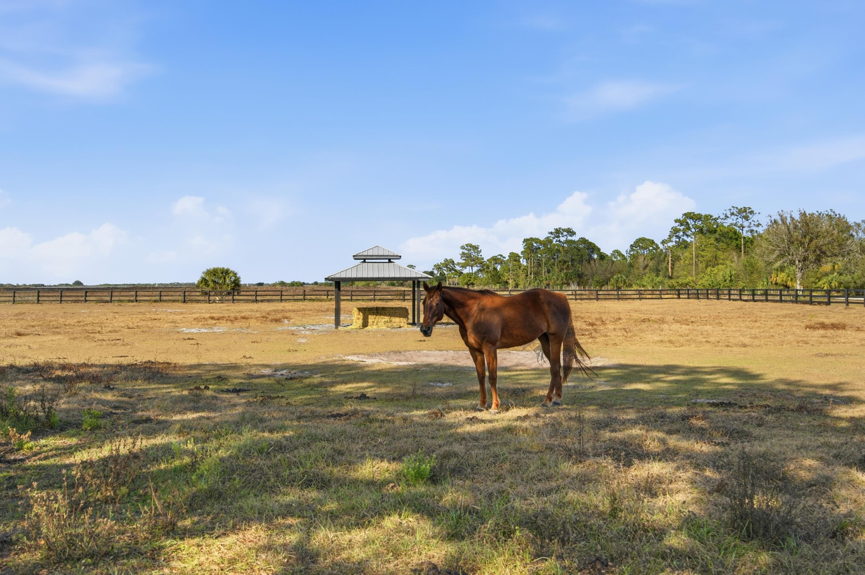 13850 SW Allapattah Road, Indiantown, FL 34956 — photo 83 of 97