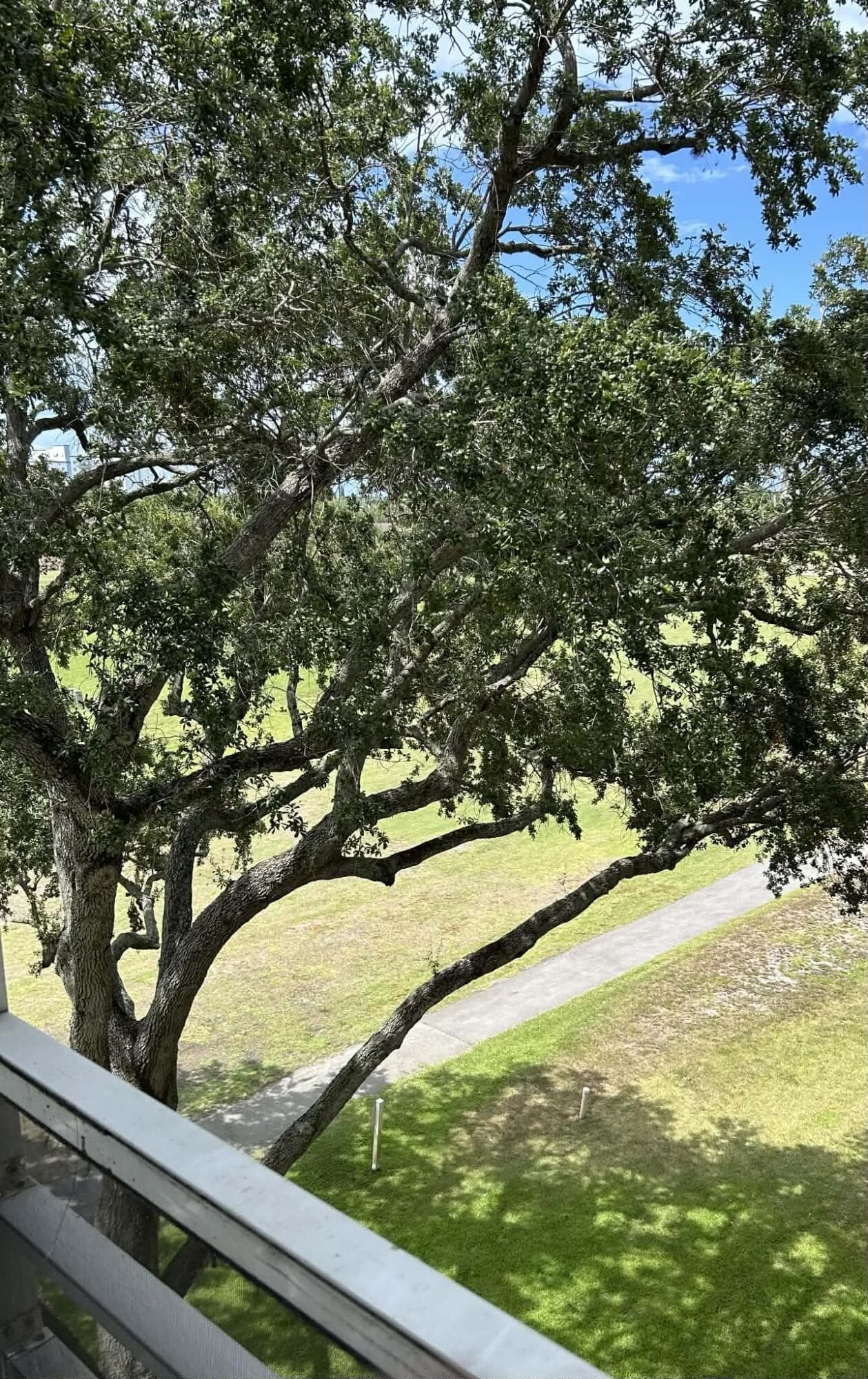2651 S Course Drive 509, Pompano Beach, FL 33069 — photo 13 of 16