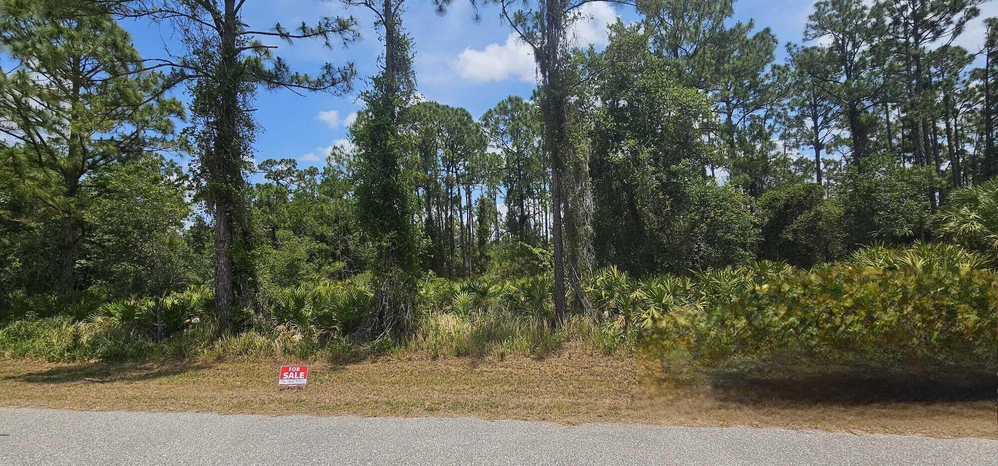 20216 Elrose Avenue, Port Charlotte, FL 33954 — photo 3 of 6