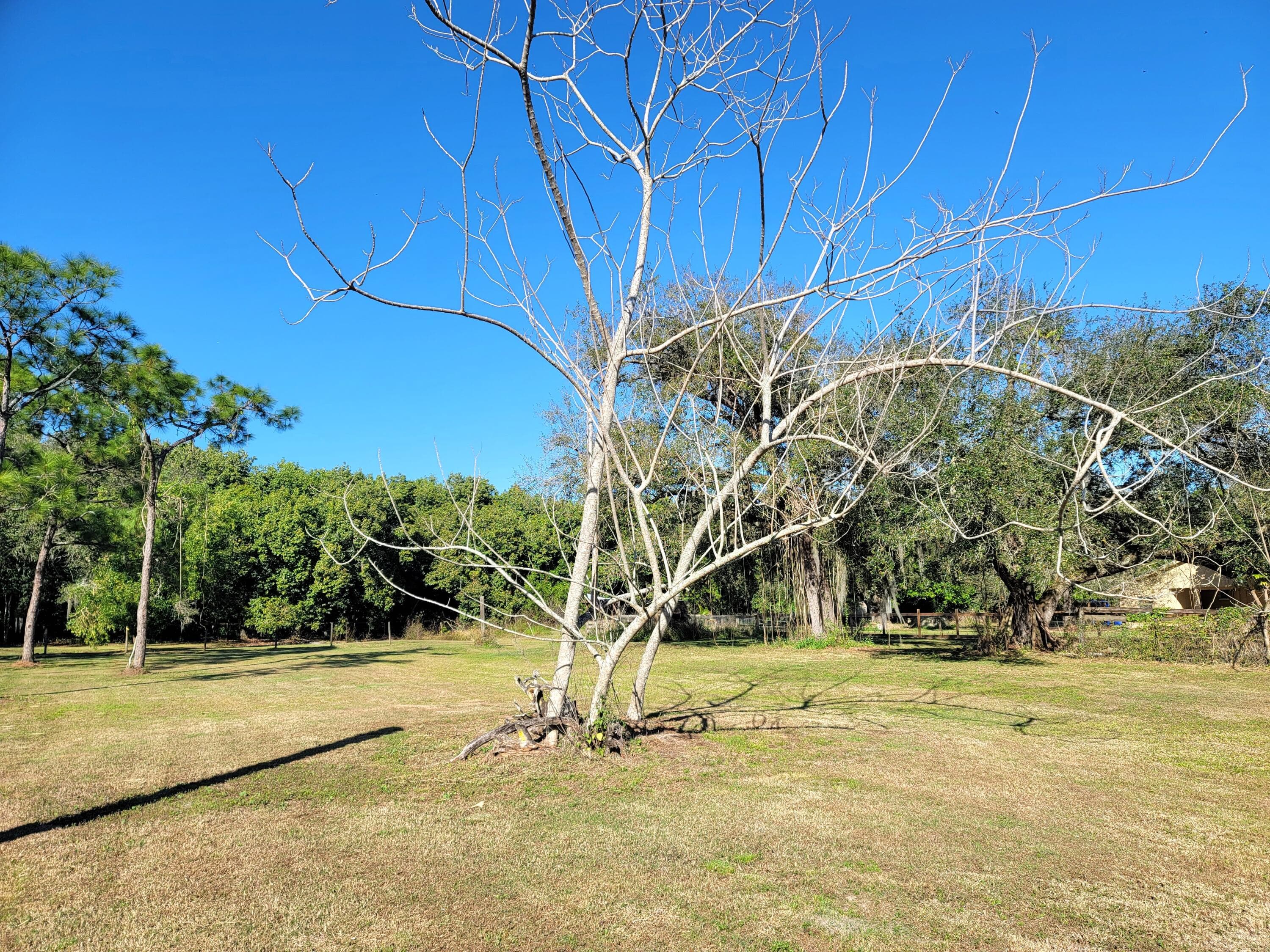 4362 W Midway Road, Fort Pierce, FL 34981 — photo 28 of 29
