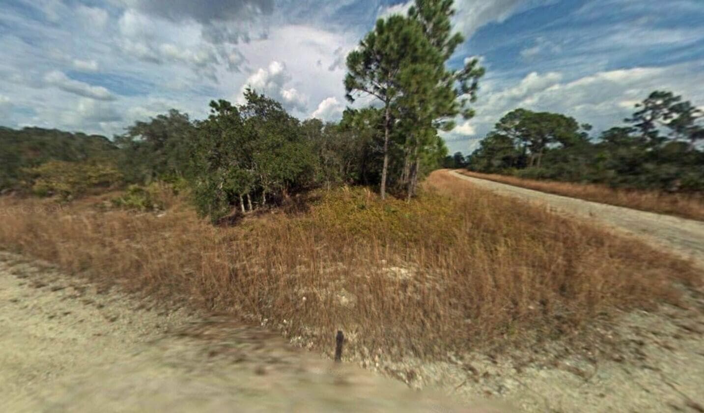 3131 Kennedy Avenue, Lake Placid, FL 33852 — photo 1 of 3