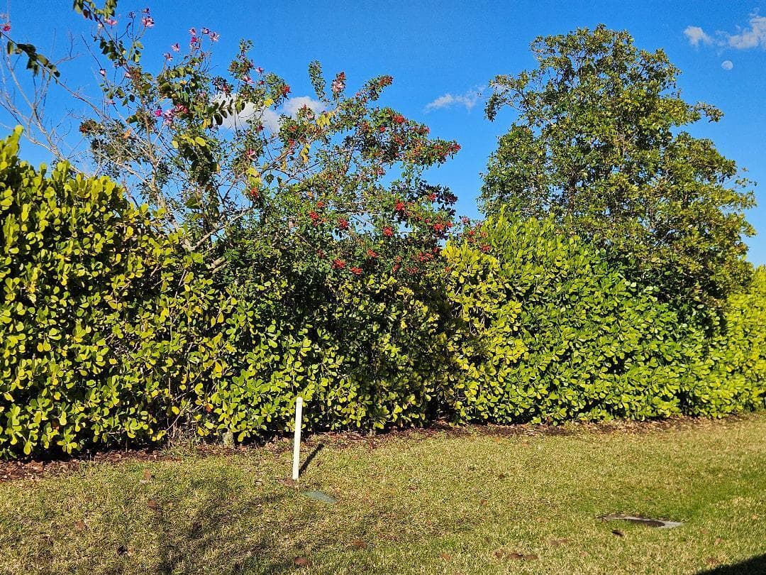 11087 SW Carriage Hill Lane, Port St. Lucie, FL 34987 — photo 19 of 42