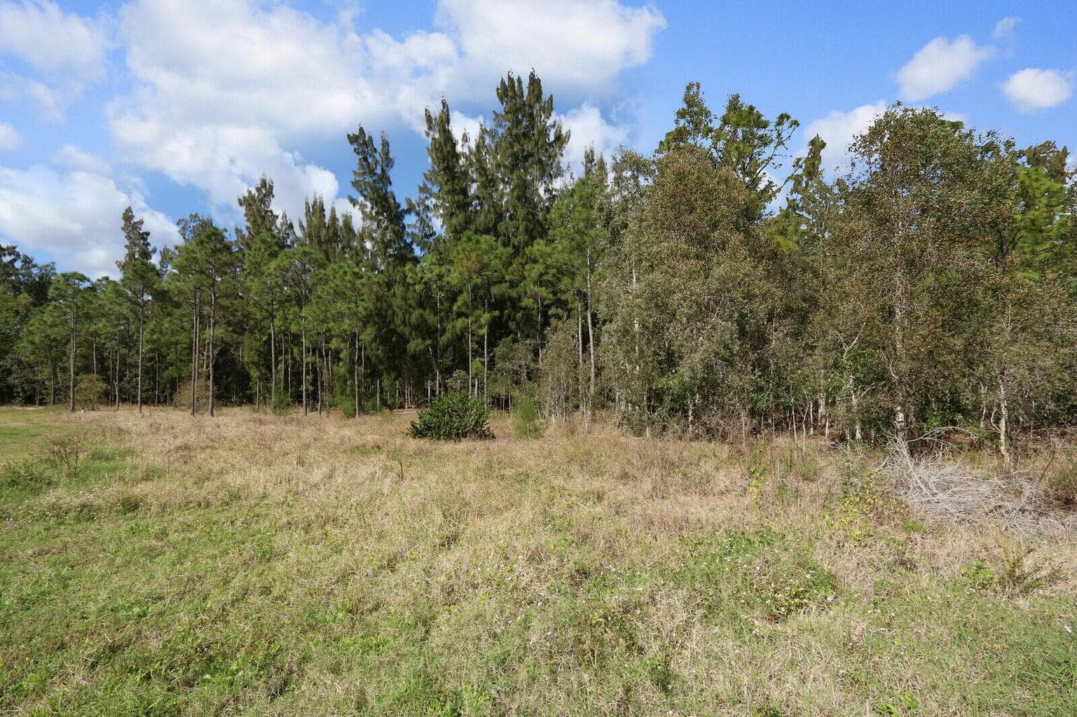 Xxxxx Indiantown Road, Jupiter, FL 33478 — photo 6 of 24