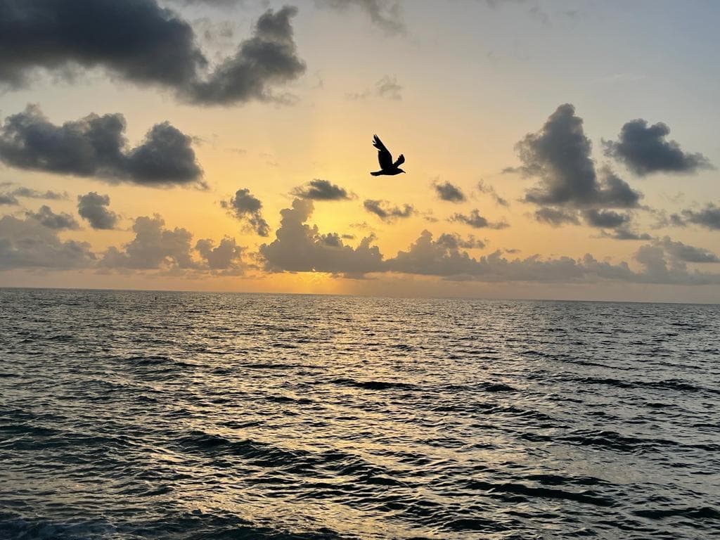 19201 Collins Avenue 337, Sunny Isles Beach, FL 33160 — photo 18 of 28