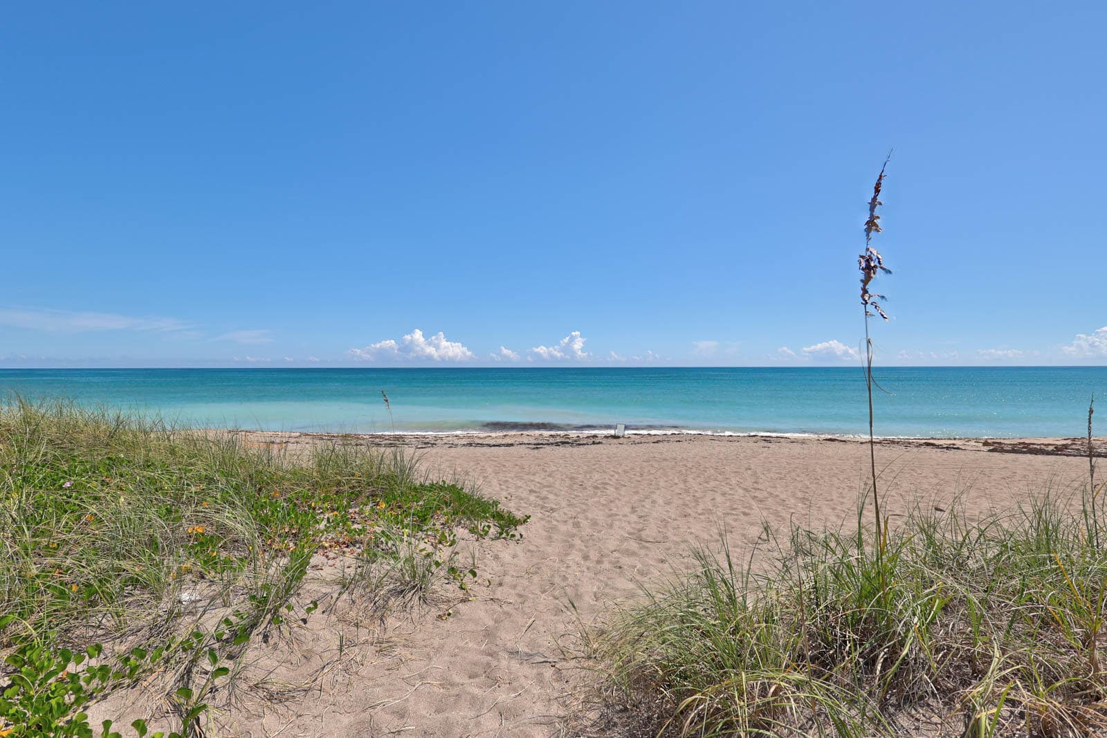 1002 Mariner Bay Boulevard 1002, Fort Pierce, FL 34949 — photo 7 of 28
