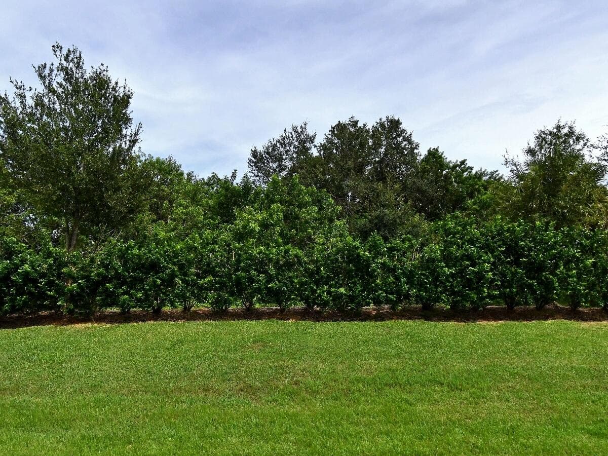 4341 Winding Place, Fort Pierce, FL 34981 — photo 1 of 1