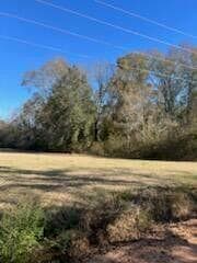 5123 Elmore Road, Marianna, FL 32446 — photo 5 of 13