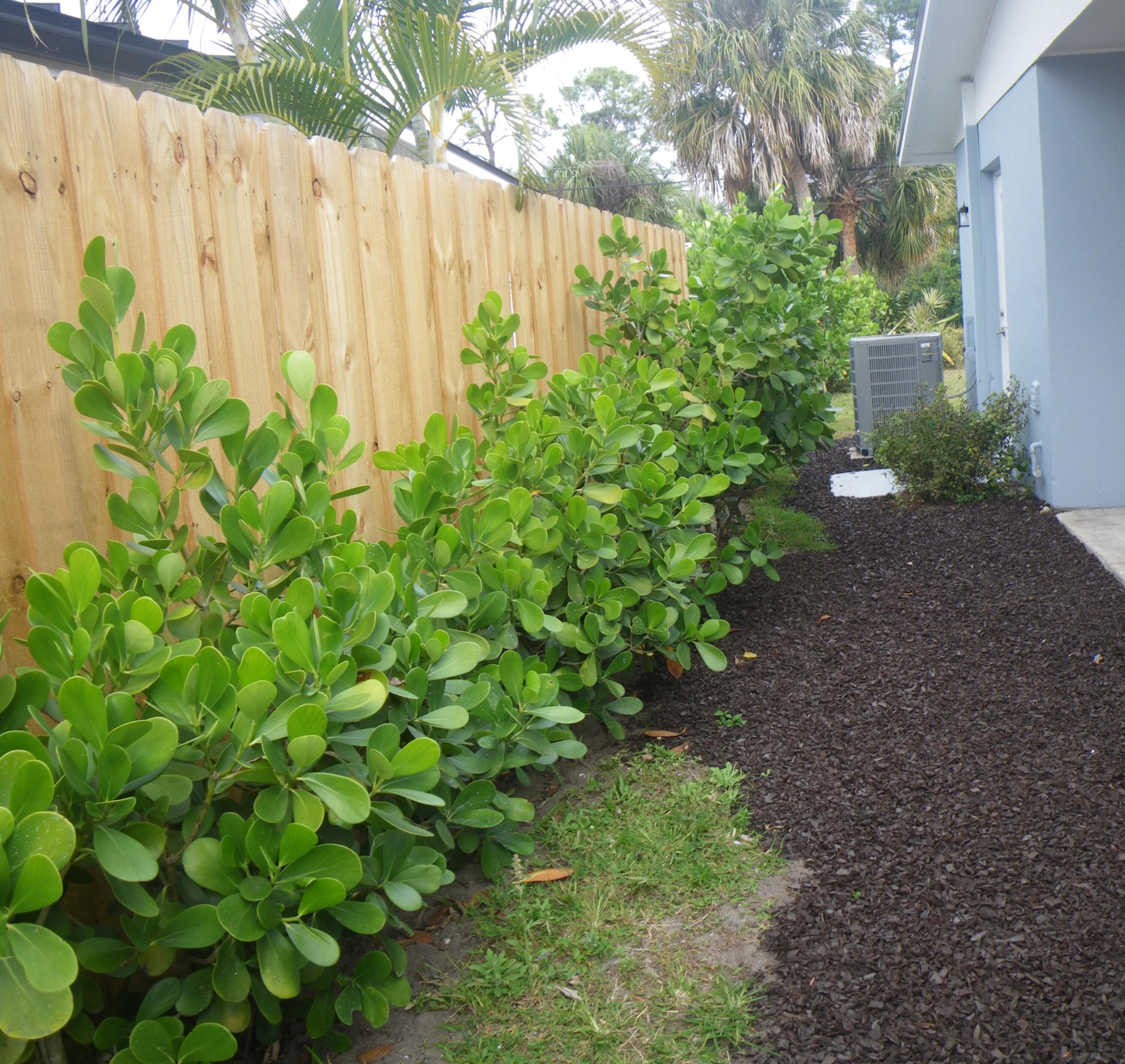 12292 Hillman Drive, Palm Beach Gardens, FL 33410 — photo 13 of 15