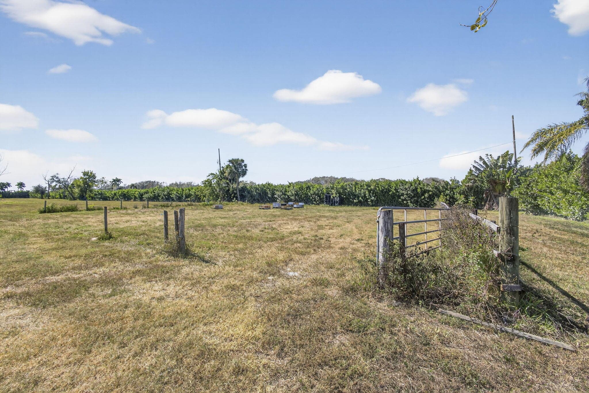 16296 Deer Path Lane, Wellington, FL 33470 — photo 10 of 52