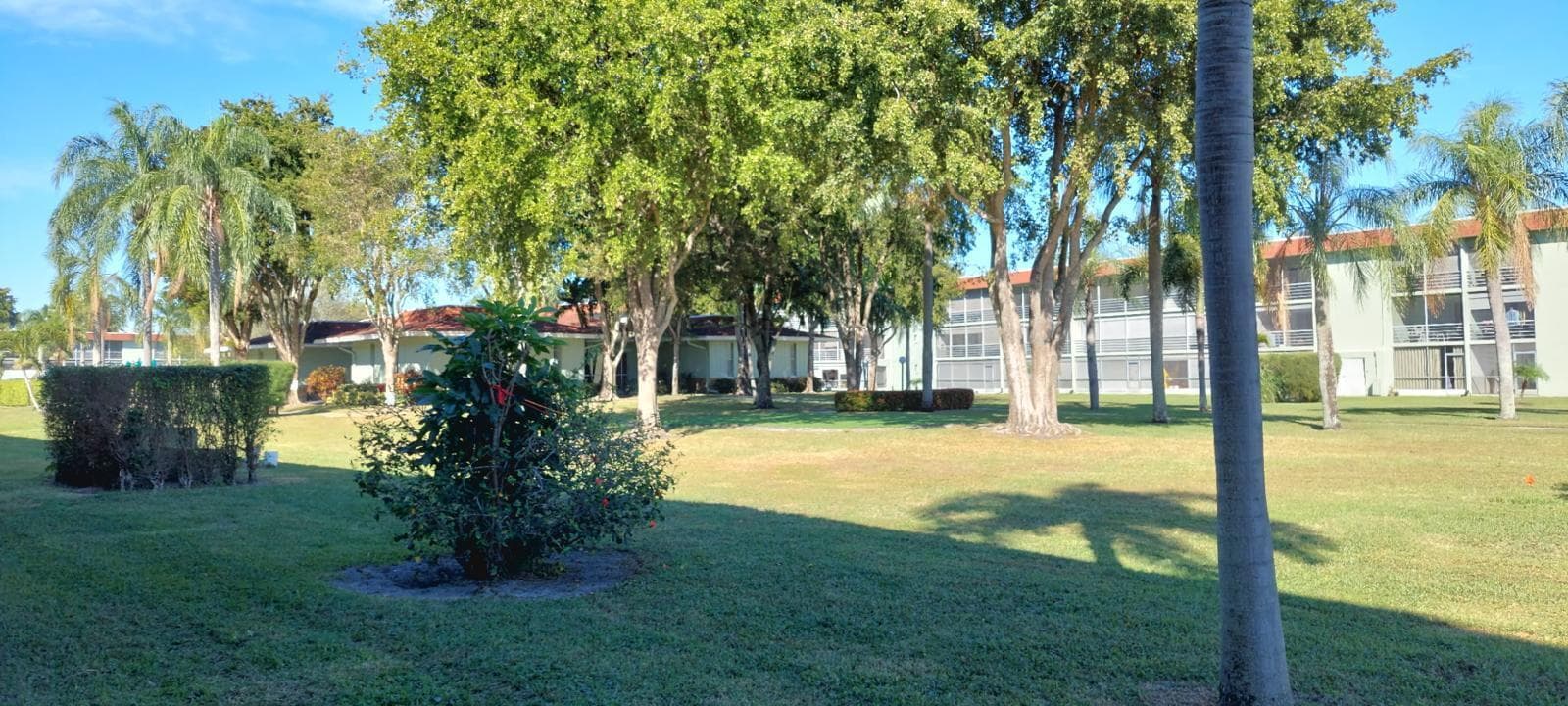 3100 Springdale Boulevard 317, Palm Springs, FL 33461 — photo 14 of 18