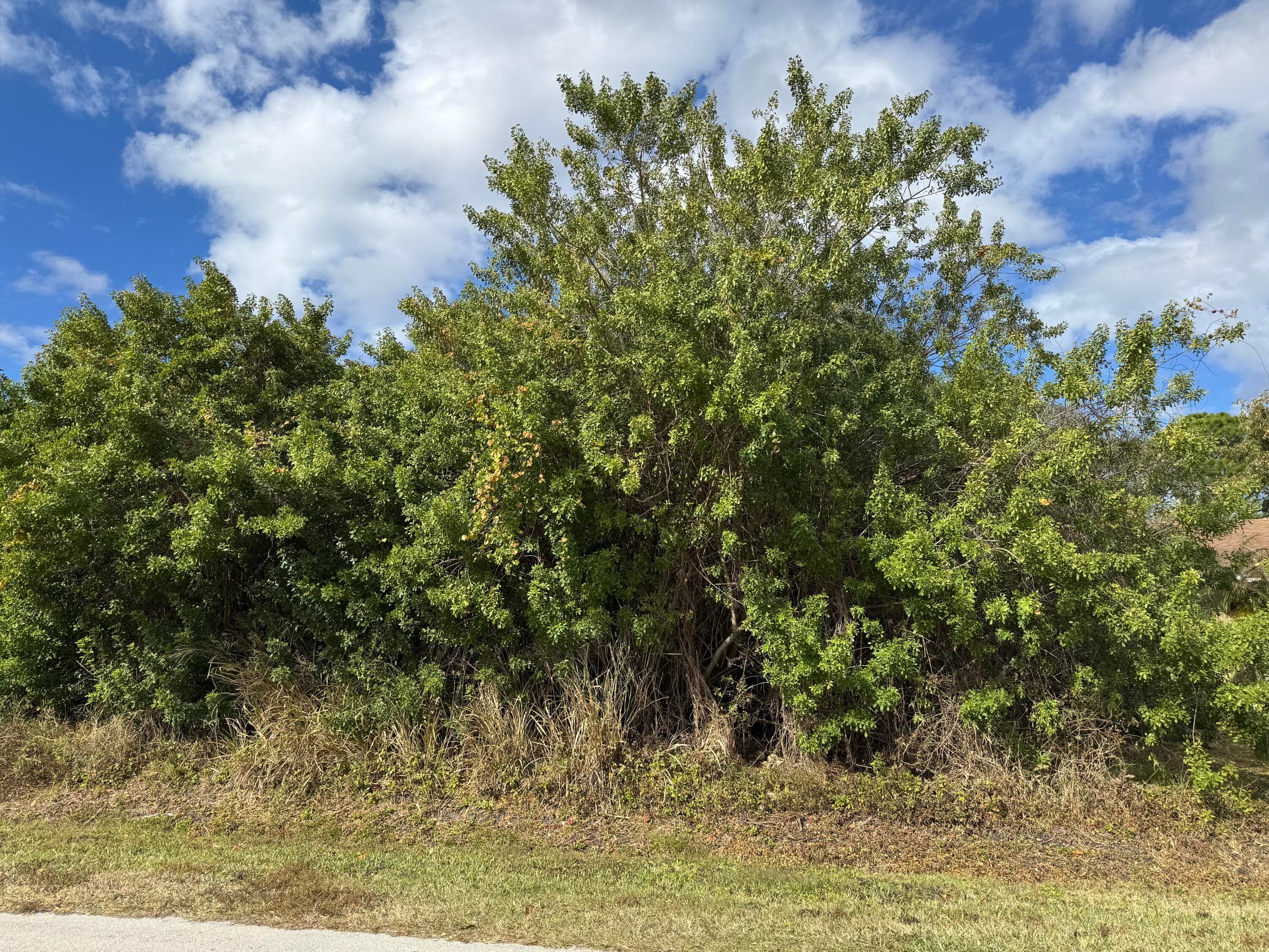 163 NE Twylite Terrace, Port St. Lucie, FL 34983 — photo 2 of 4