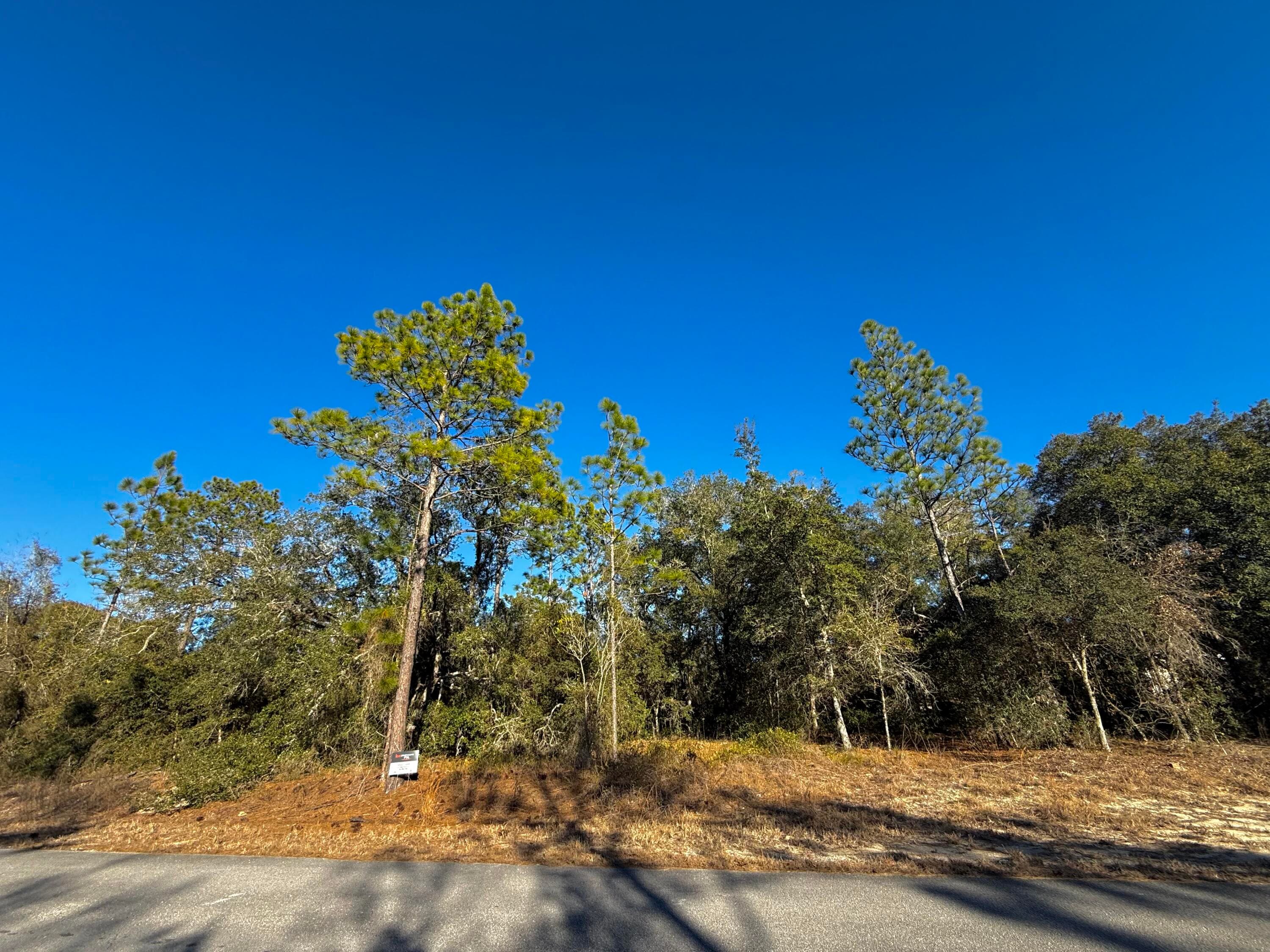 Tbd Lot 32 SW Lobelia Court, Dunnellon, FL 34431 — photo 5 of 7
