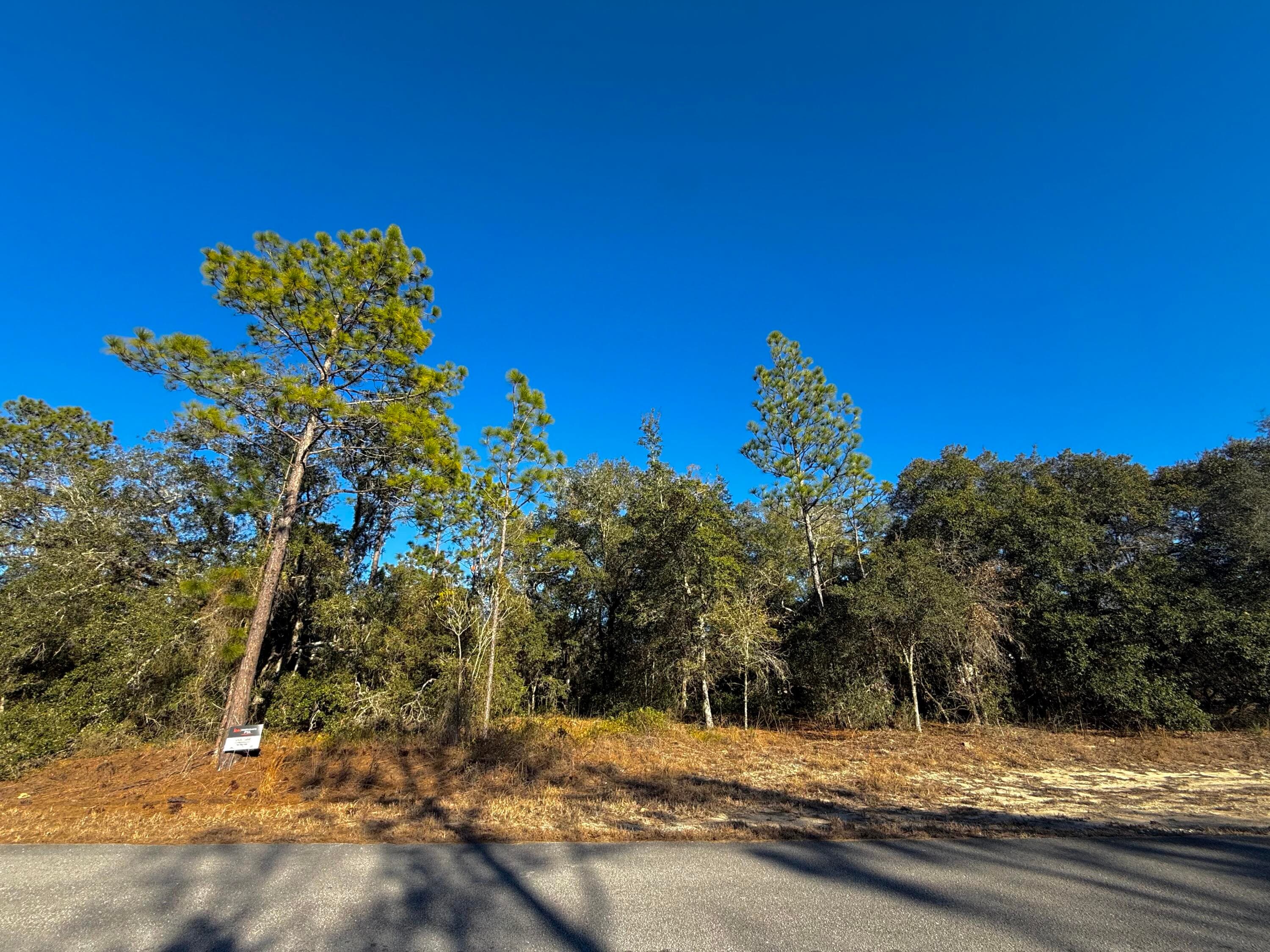 Tbd Lot 32 SW Lobelia Court, Dunnellon, FL 34431 — photo 6 of 7