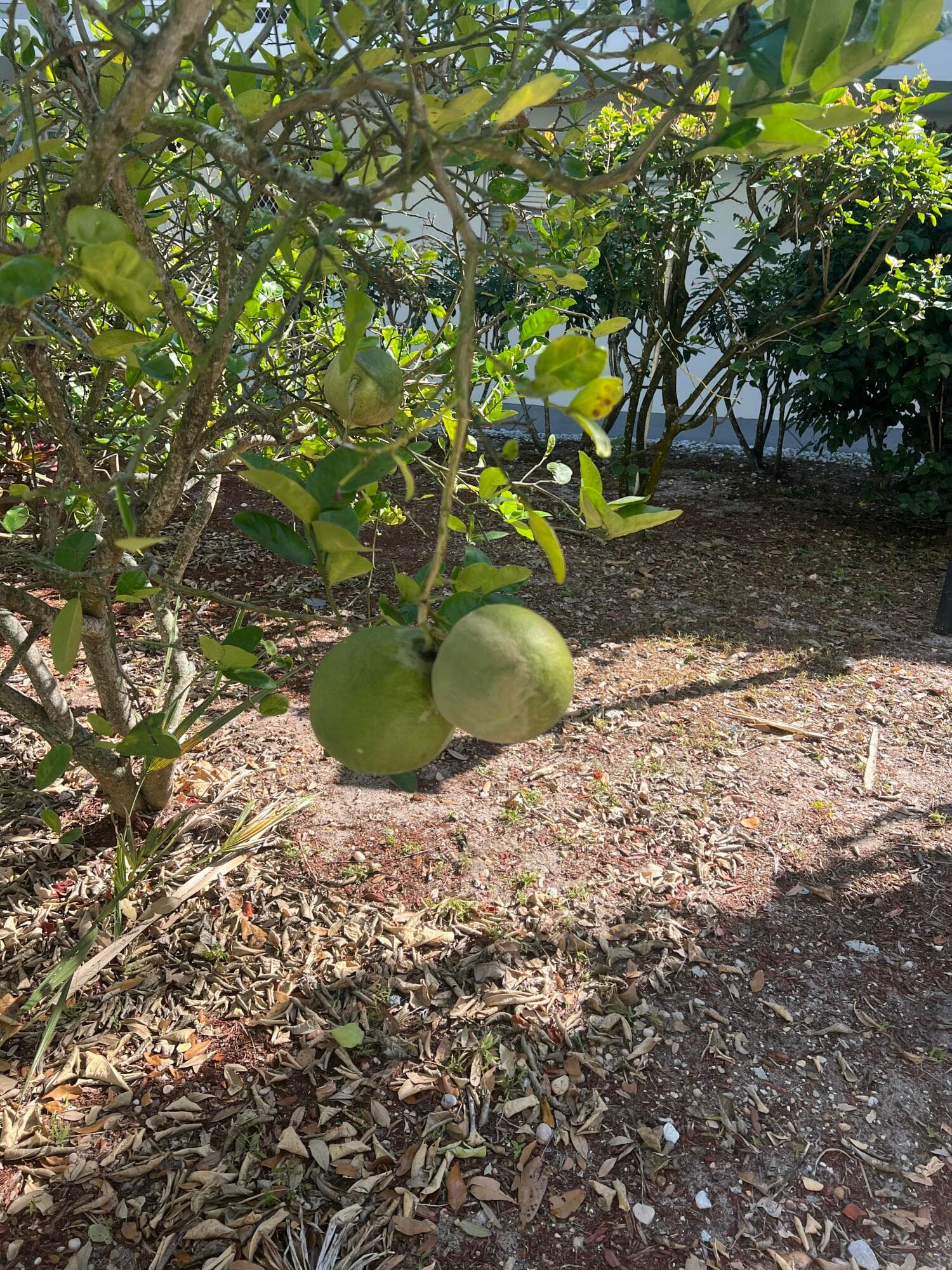 2302 Sunrise Boulevard 3-201, Fort Pierce, FL 34982 — photo 2 of 26