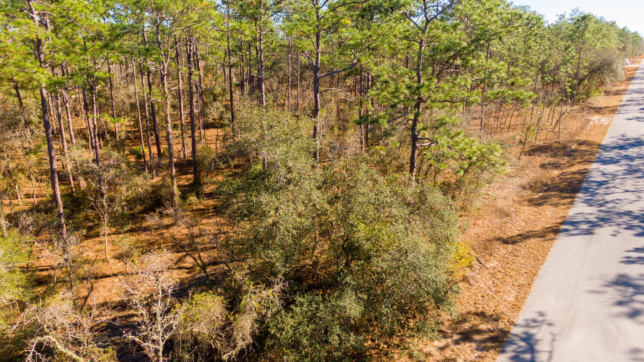 0000 SW Commodore Road, Dunnellon, FL 34431 — photo 1 of 10