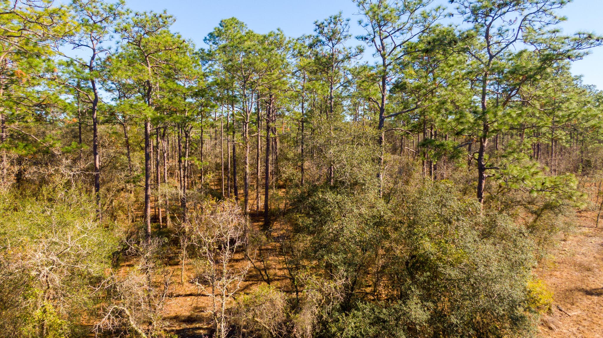0000 SW Commodore Road, Dunnellon, FL 34431 — photo 4 of 10