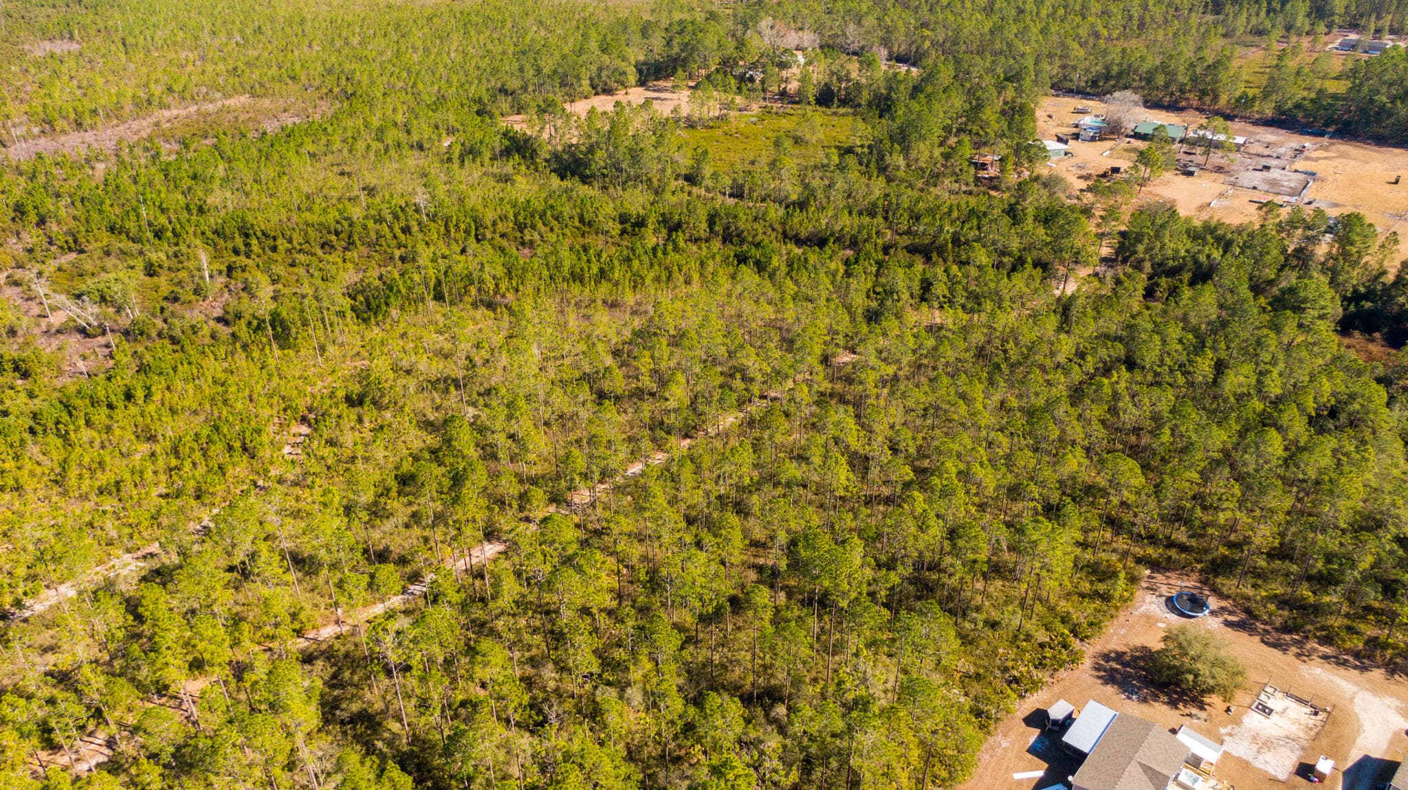 0000 Ne 125th Ave, Fort McCoy, FL 32134 — photo 2 of 8