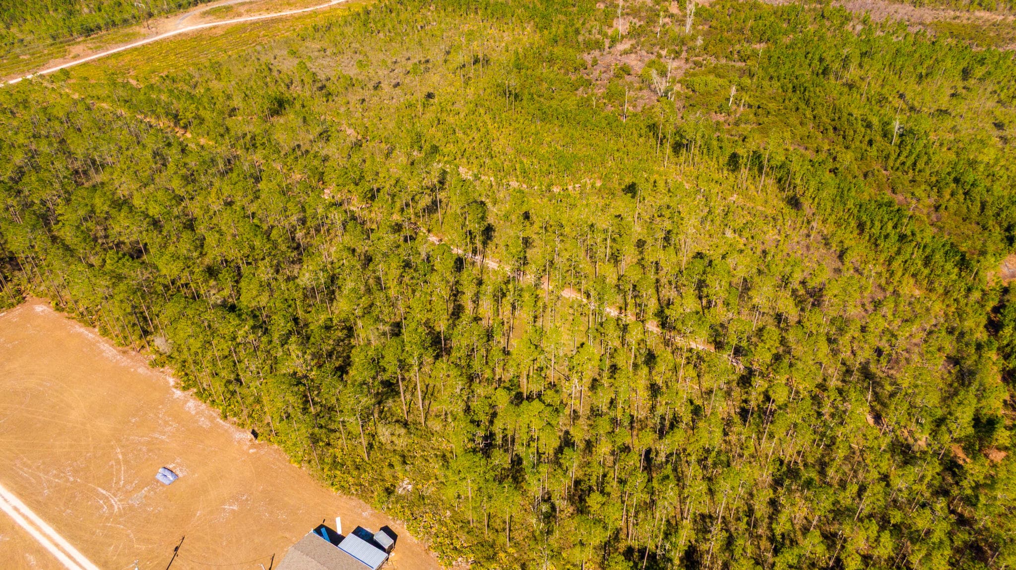 0000 Ne 125th Ave, Fort McCoy, FL 32134 — photo 4 of 8