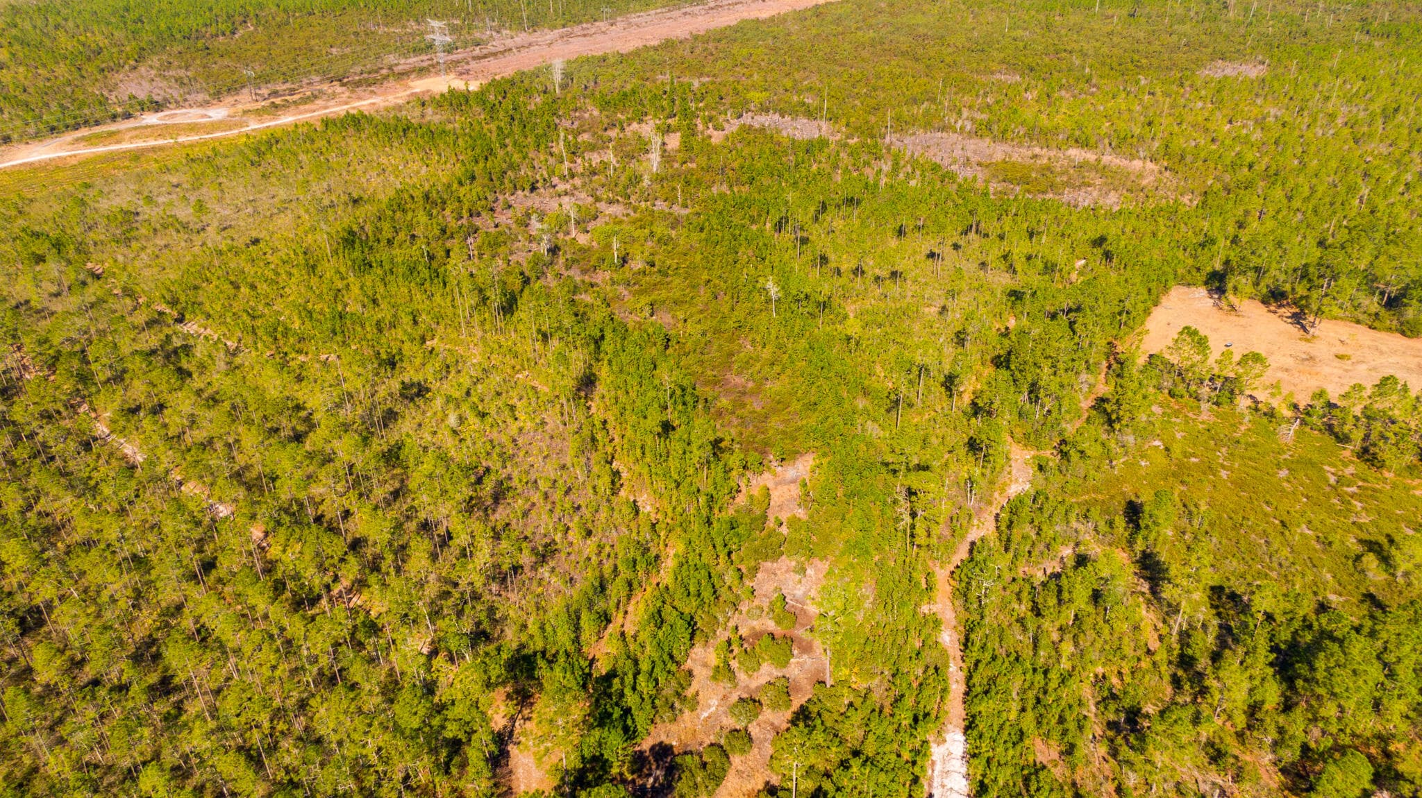 0000 Ne 125th Ave, Fort McCoy, FL 32134 — photo 2 of 8