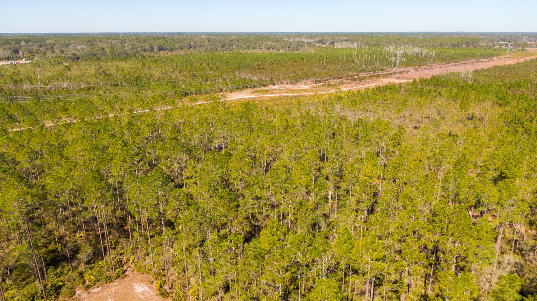 0000 Ne 125th Ave, Fort McCoy, FL 32134 — photo 2 of 8