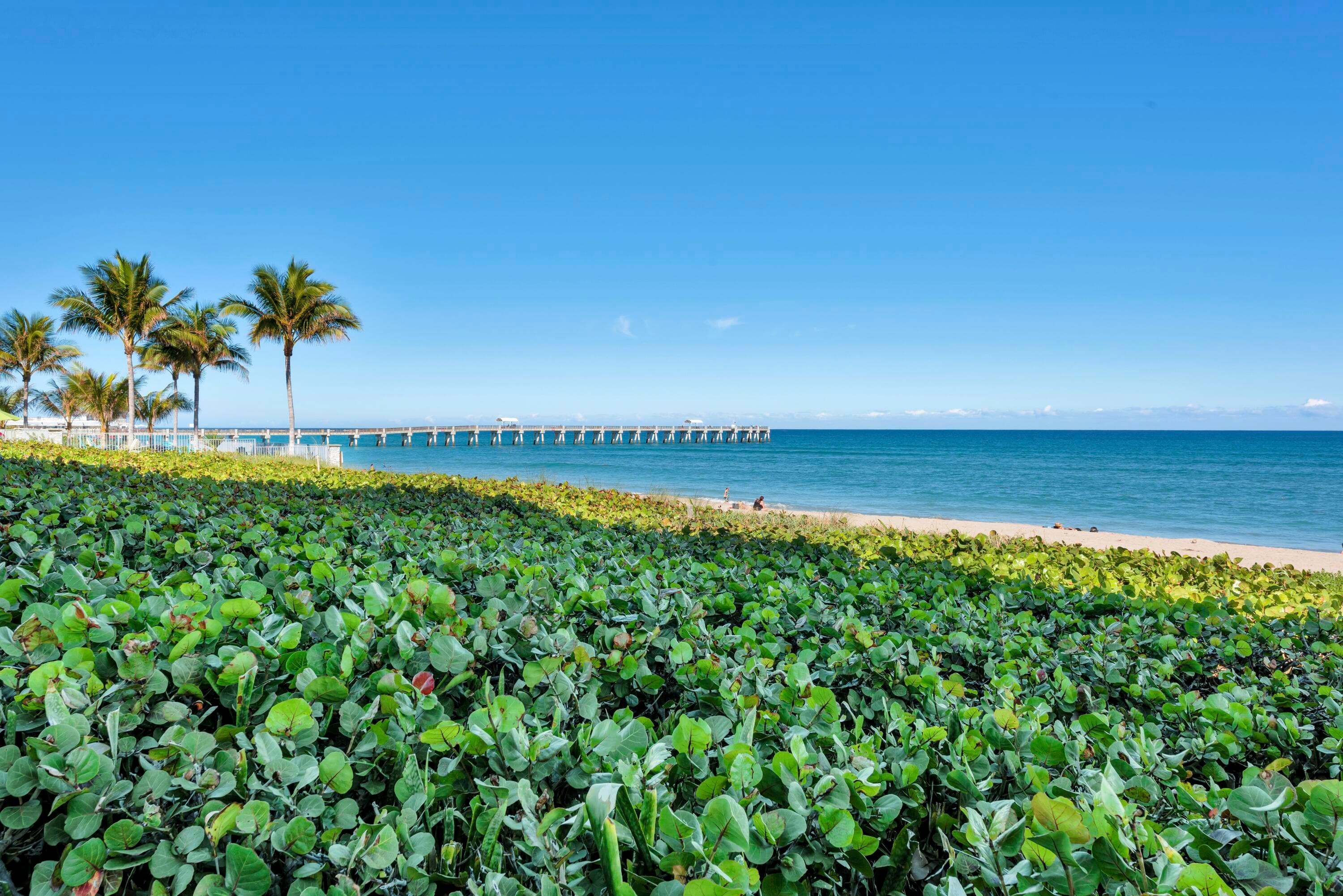 3100 S Ocean Boulevard 201s, Palm Beach, FL 33480 — photo 30 of 49