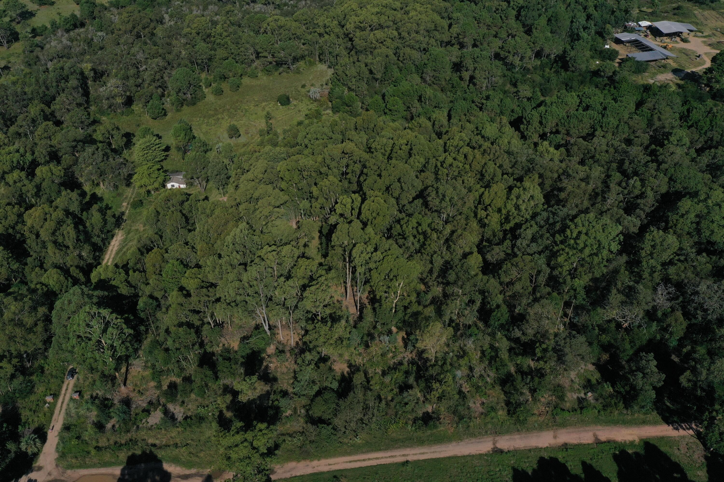 54209 Punta Del Diablo — photo 14 of 56