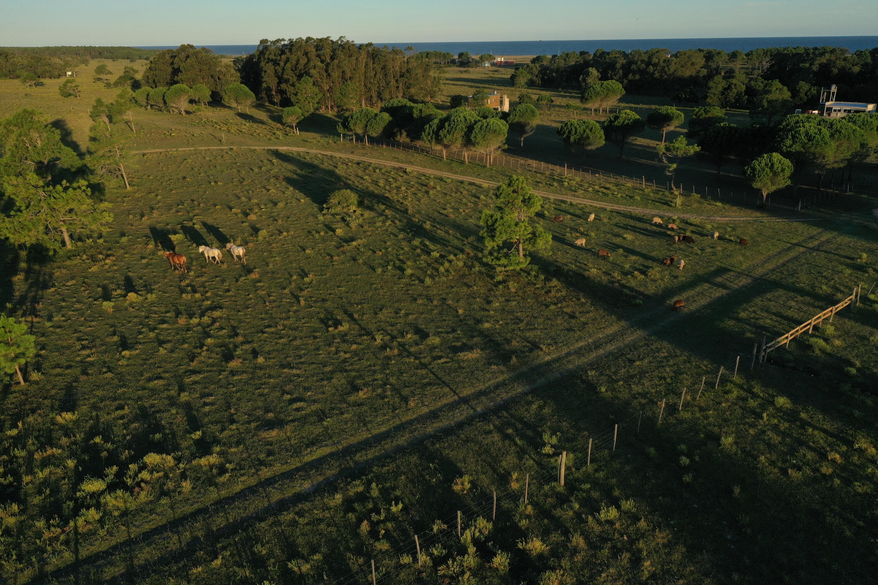 54053 Punta Del Diablo — photo 23 of 56