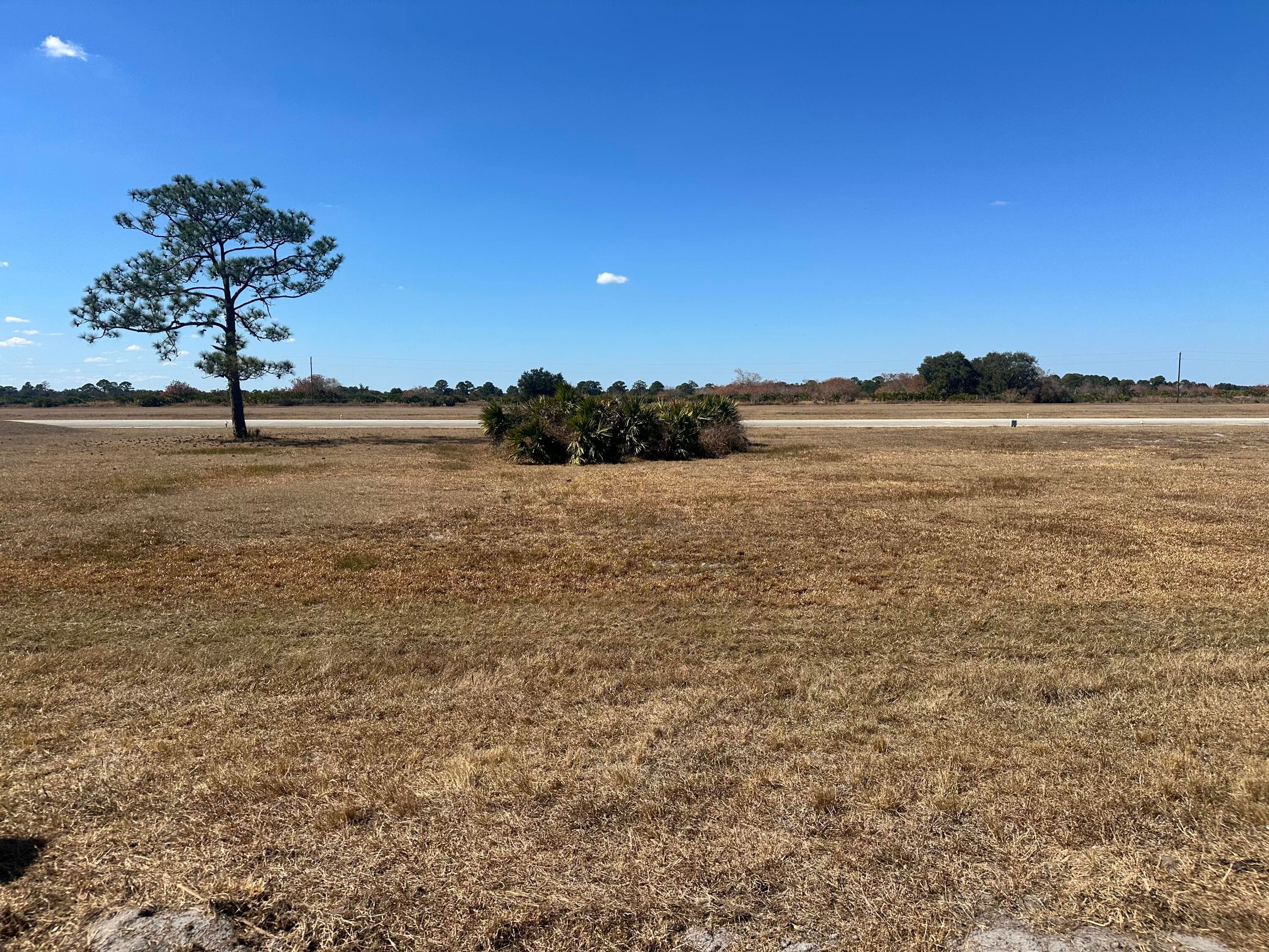 180 Seneca Drive NW, Lake Placid, FL 33852 — photo 3 of 5