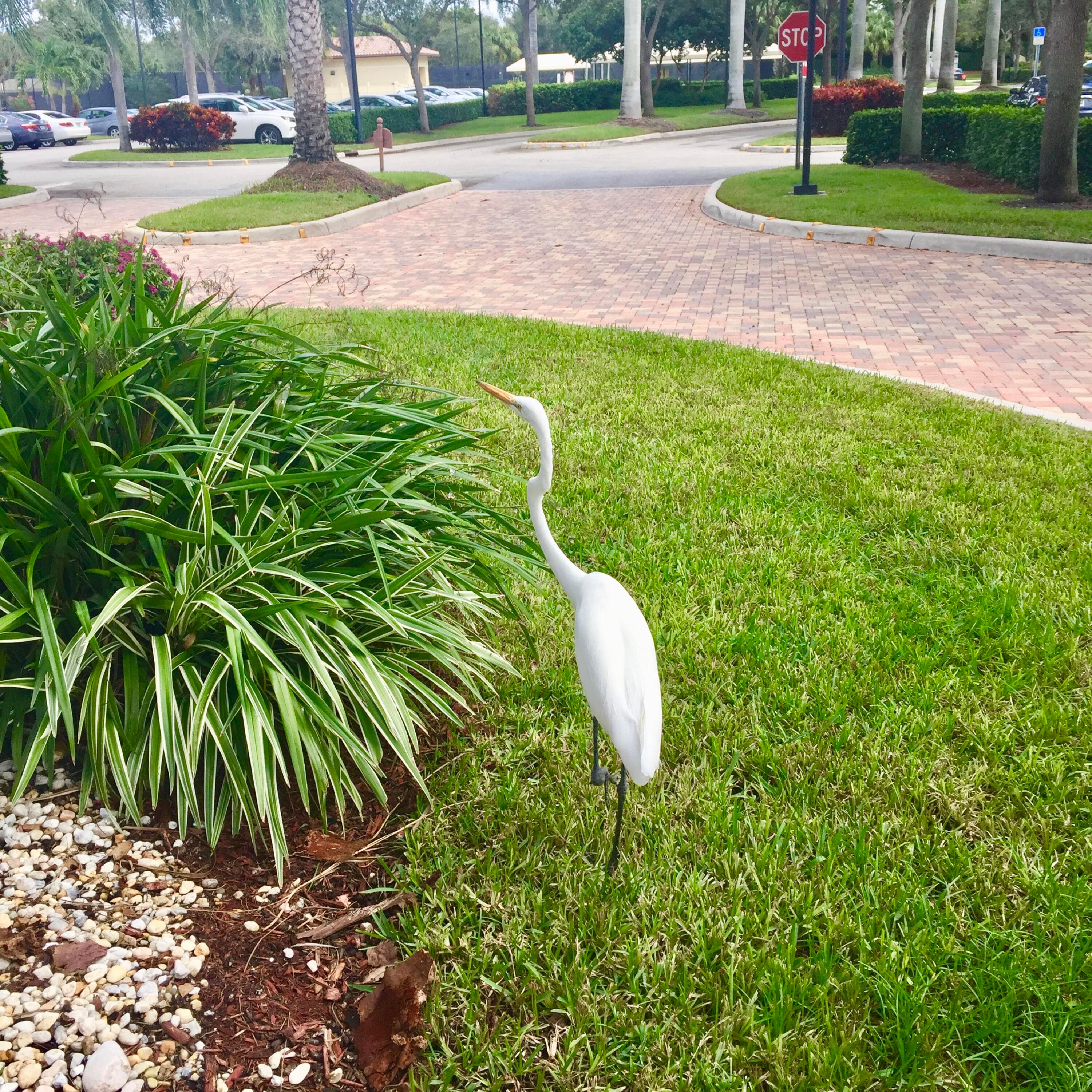 7440 W Mercada Way, Delray Beach, FL 33446 — photo 43 of 72