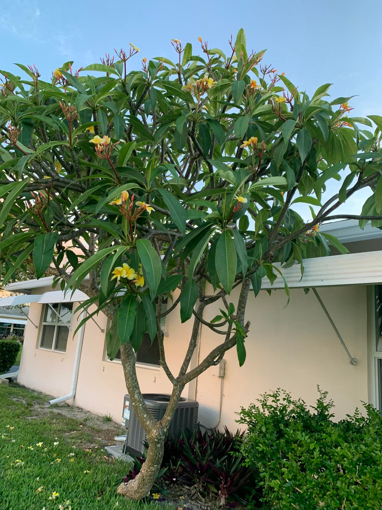 200 South Boulevard A, Boynton Beach, FL 33435 — photo 15 of 20
