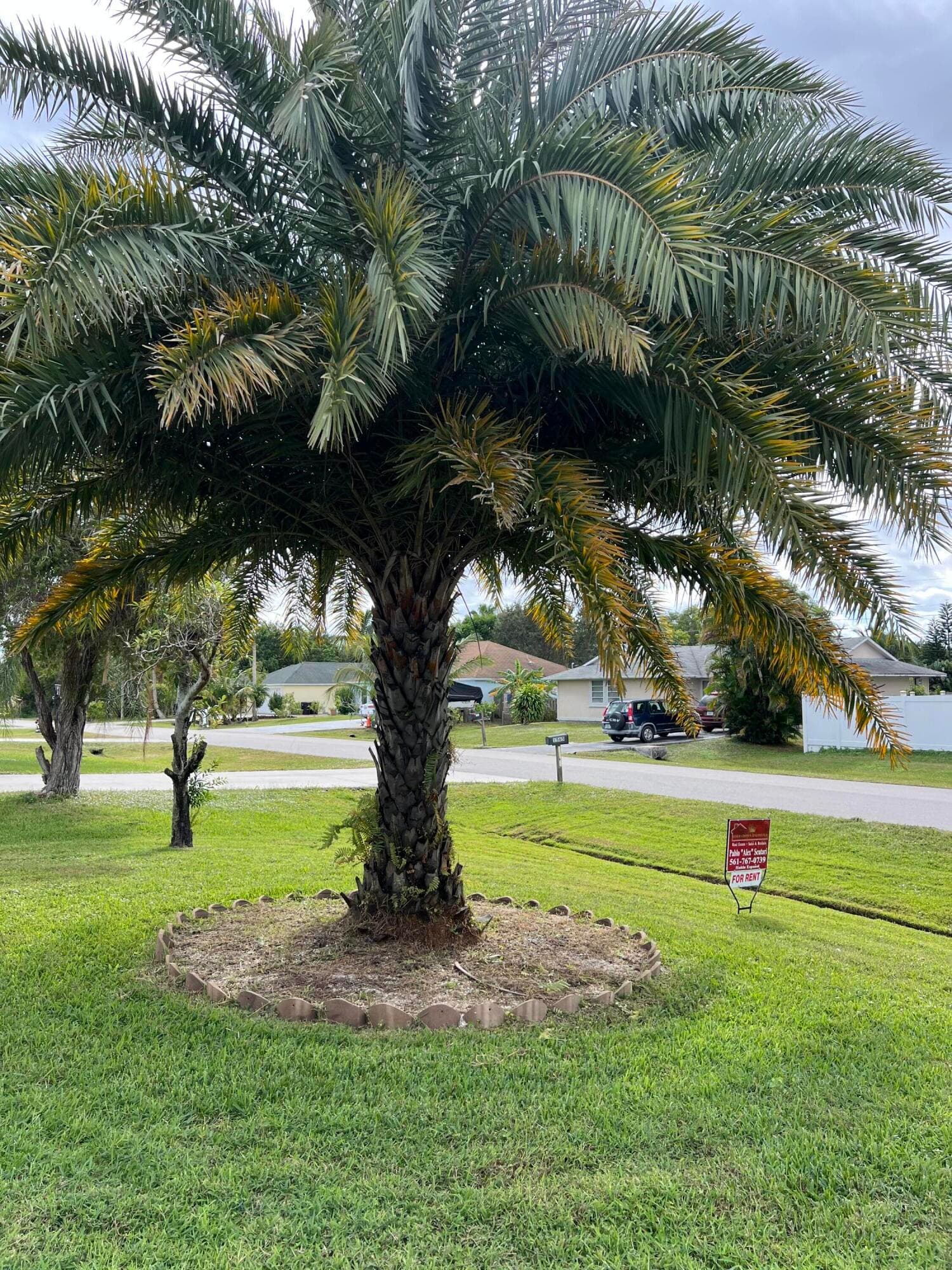 1561 SE Appamattox Terrace, Port St. Lucie, FL 34952 — photo 22 of 34