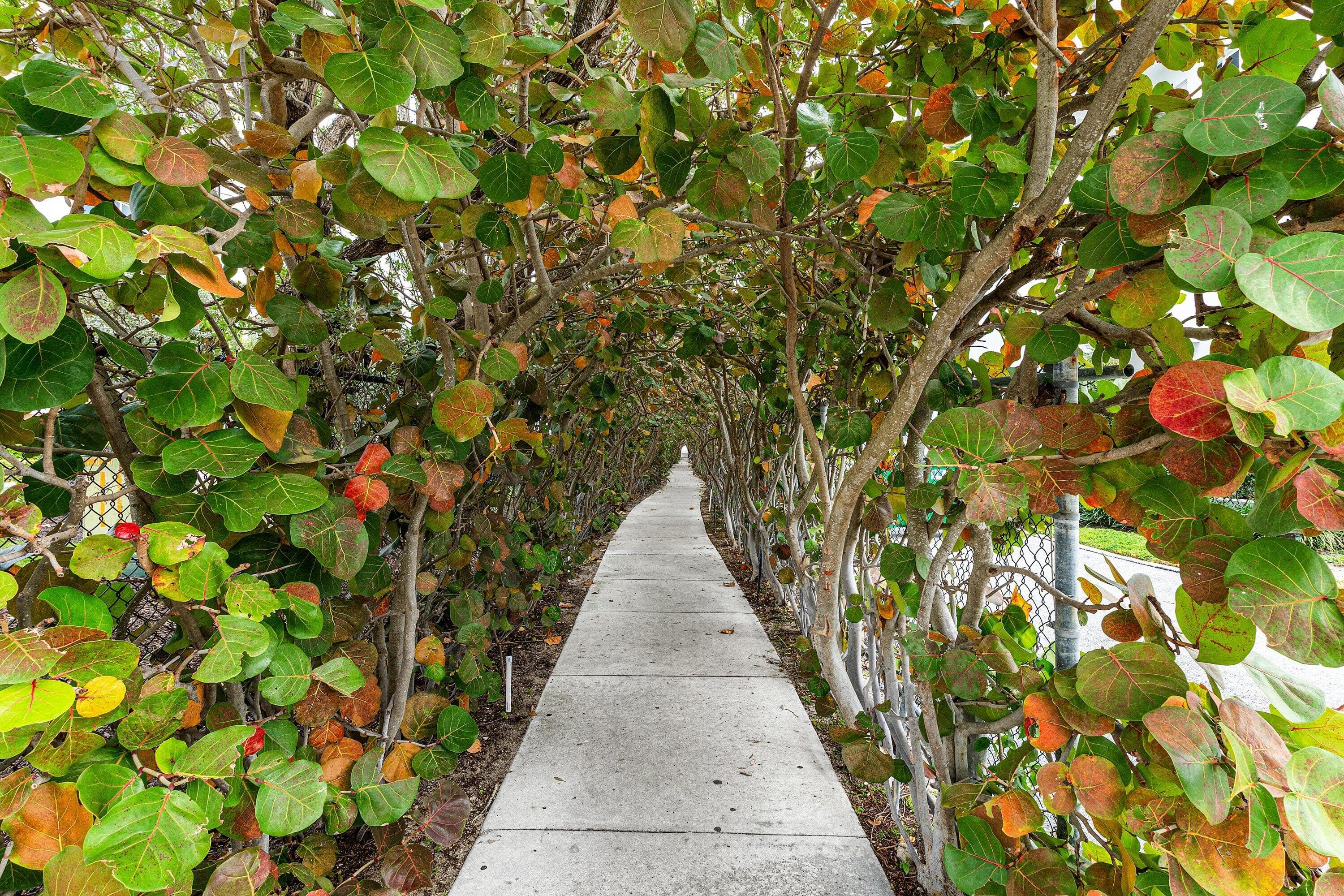 100 Bravado Lane 2, Palm Beach Shores, FL 33404 — photo 20 of 22