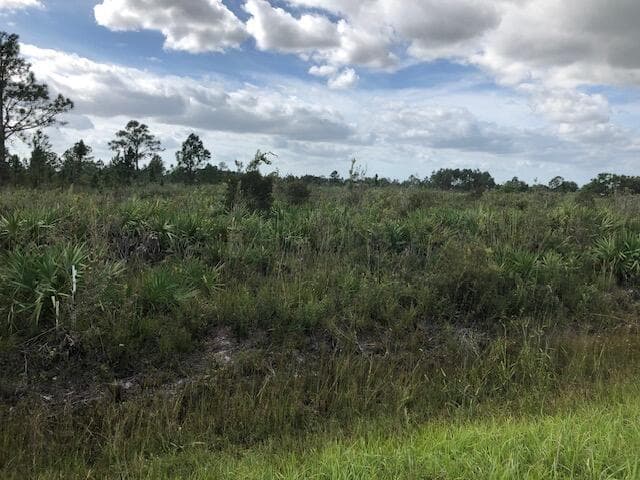 Nnne Undetermined, Ocala, FL 34473 — photo