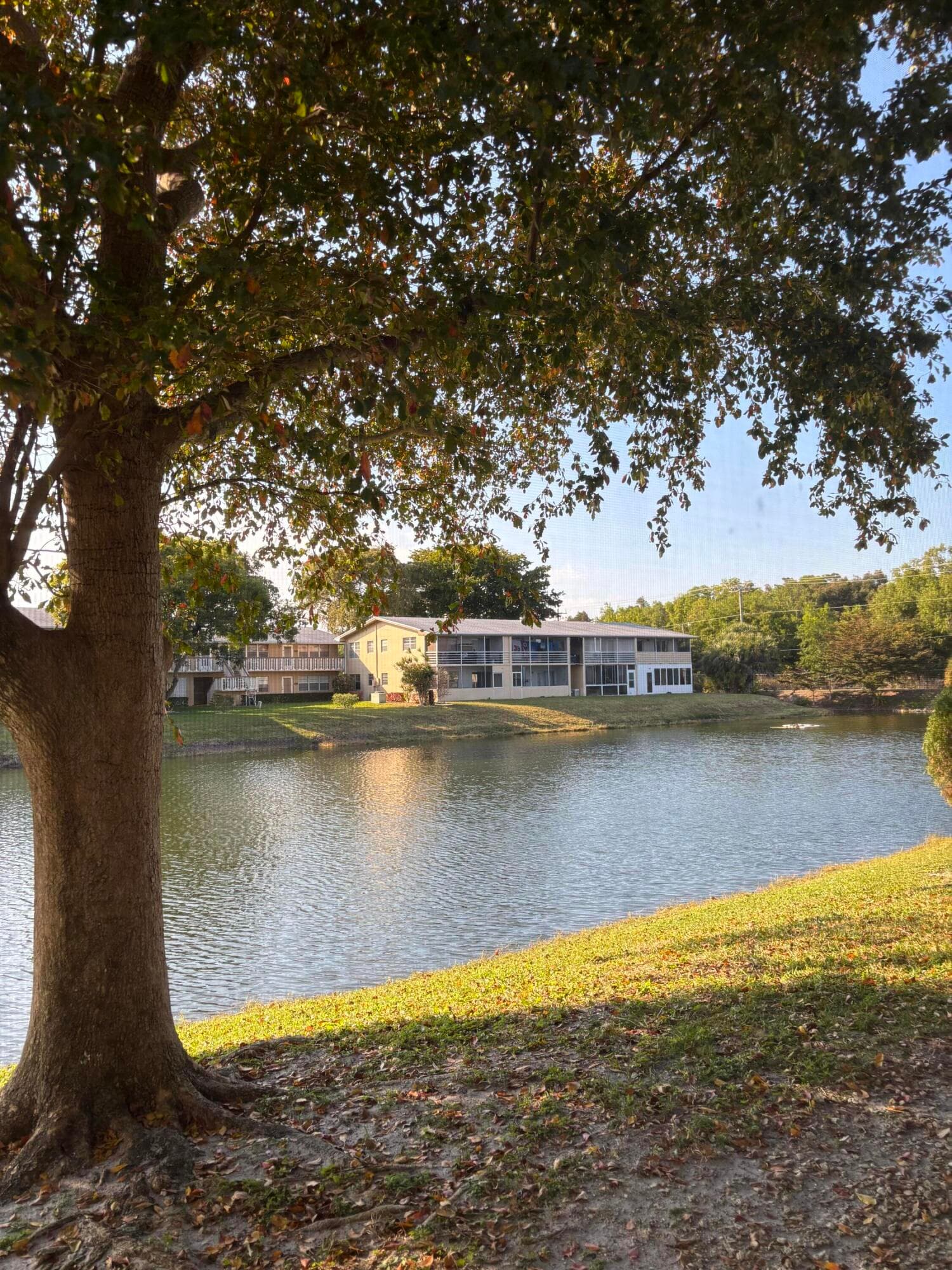 75 Sheffield D, West Palm Beach, FL 33417 — photo 8 of 15