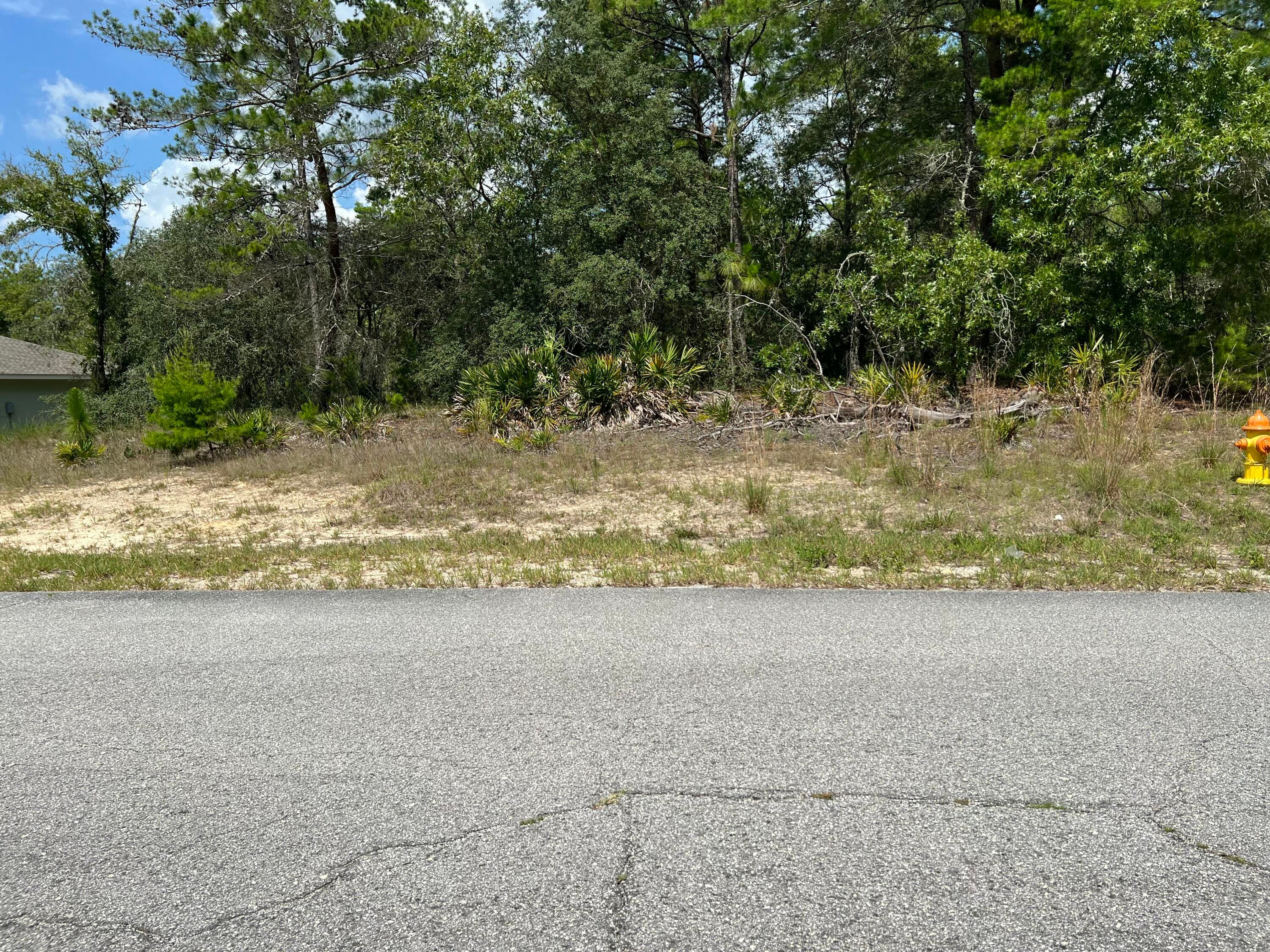 6876 N Sandborn Loop, Citrus Springs, FL 34433 — photo