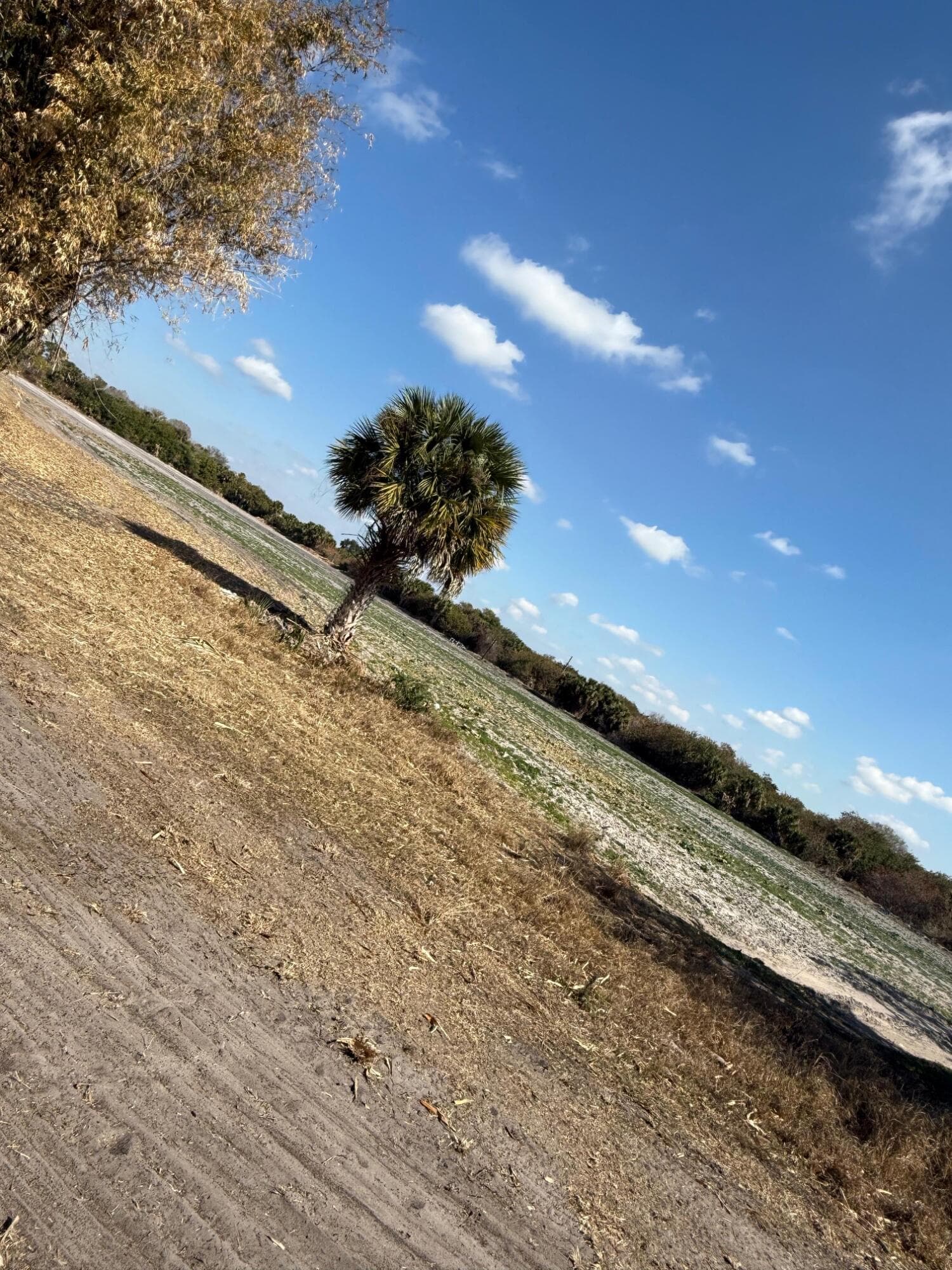 00 SW Tommy Clements Street, Indiantown, FL 34956 — photo 2 of 4