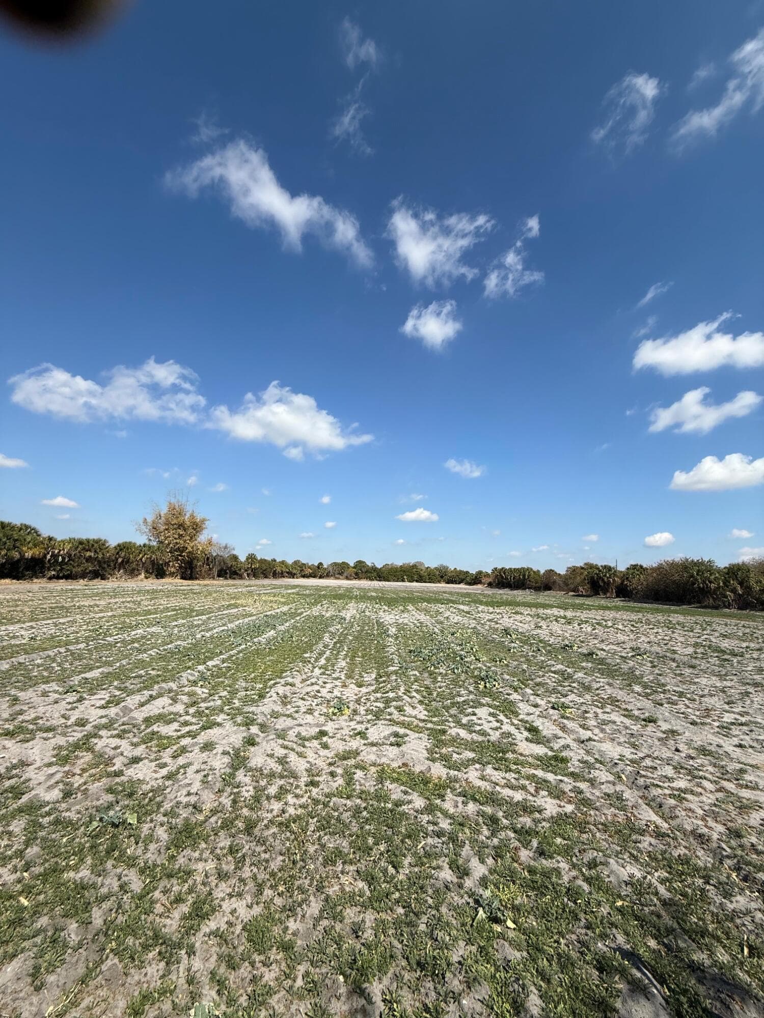 00 SW Tommy Clements Street, Indiantown, FL 34956 — photo 1 of 4