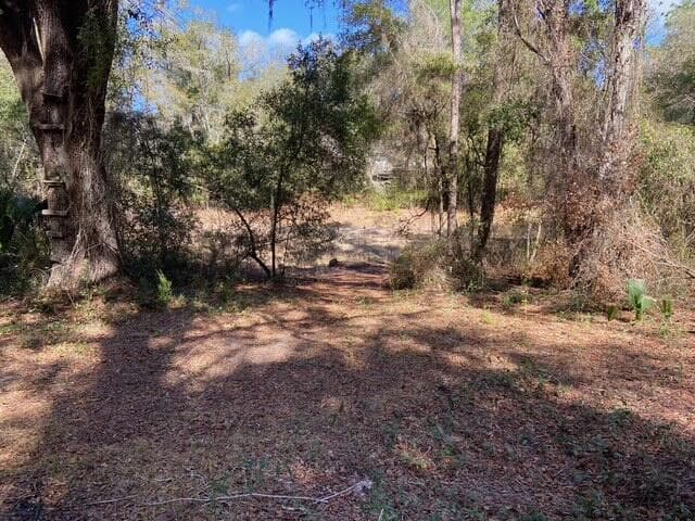 15137 NE 141st Street, Fort McCoy, FL 32134 — photo 4 of 12