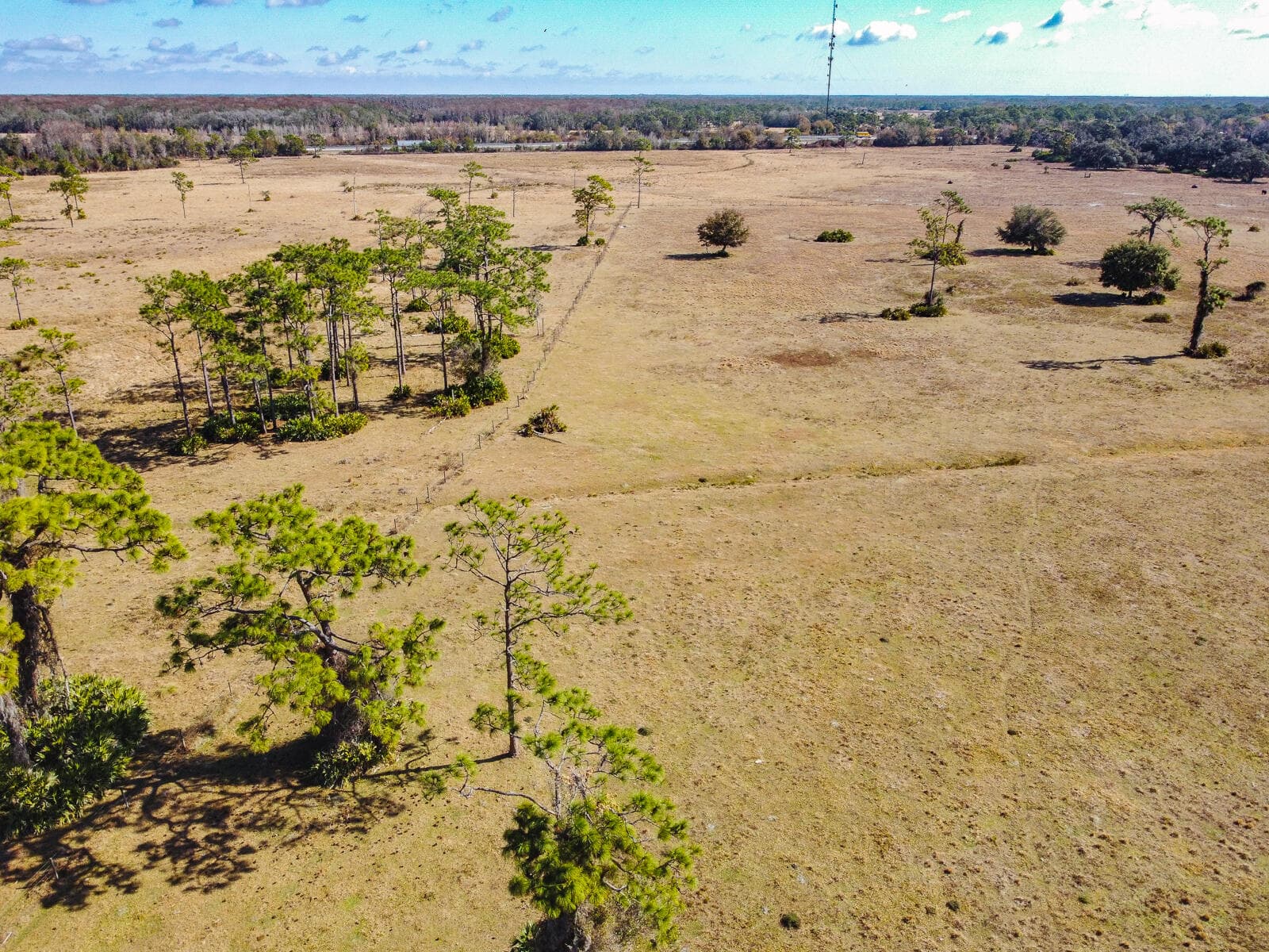 5151 S Kenansville Road, Okeechobee, FL 34972 — photo 23 of 31