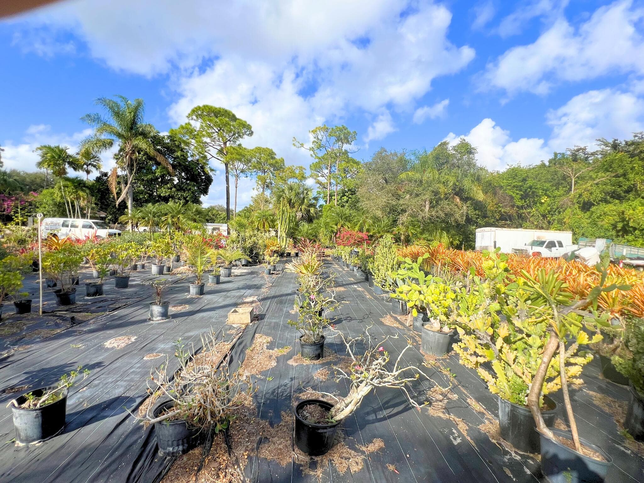 7300 NW 44th Terrace, Coconut Creek, FL 33073 — photo 15 of 59