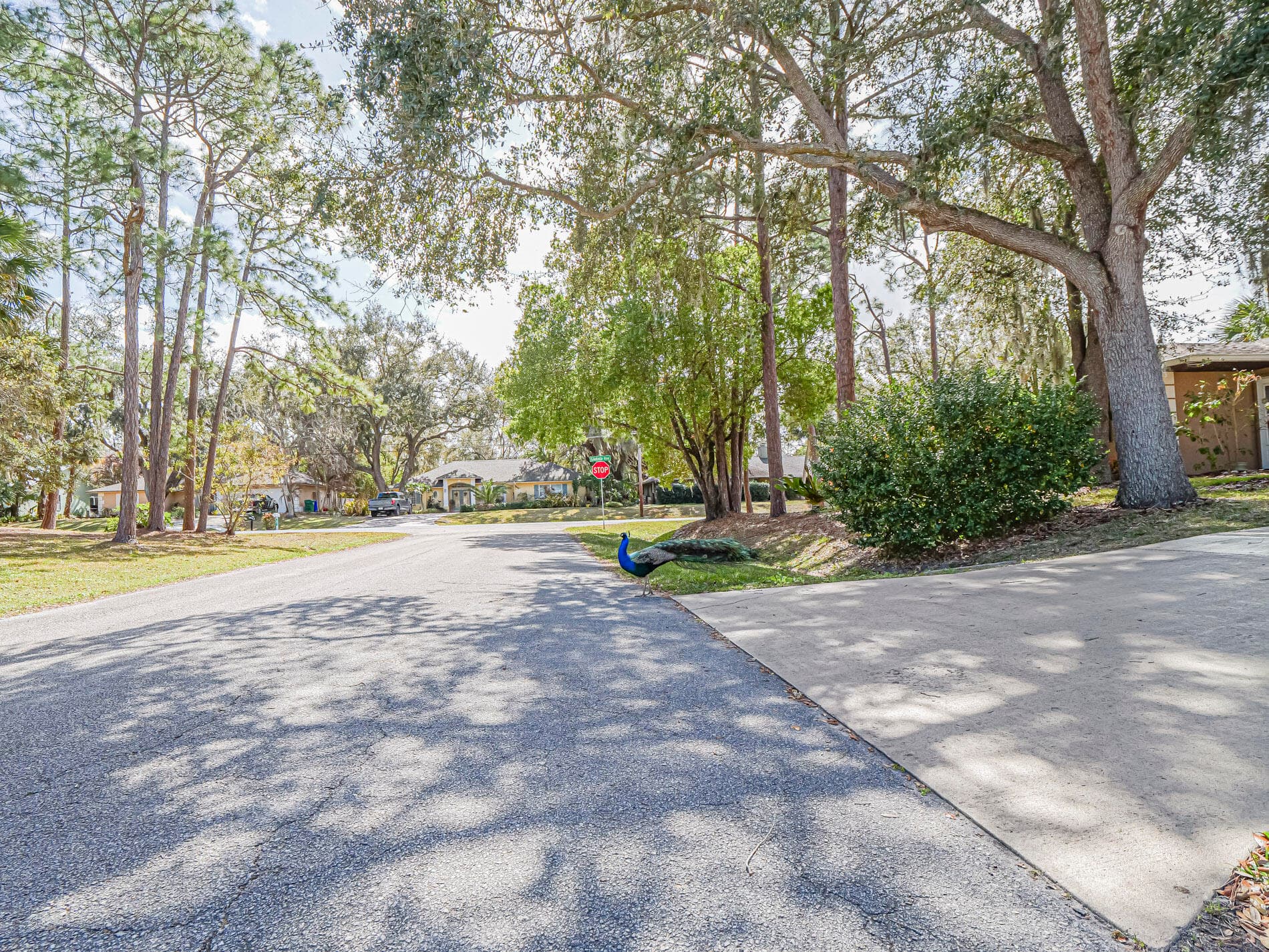 1686 Coral Reef Street, Sebastian, FL 32958 — photo 23 of 23