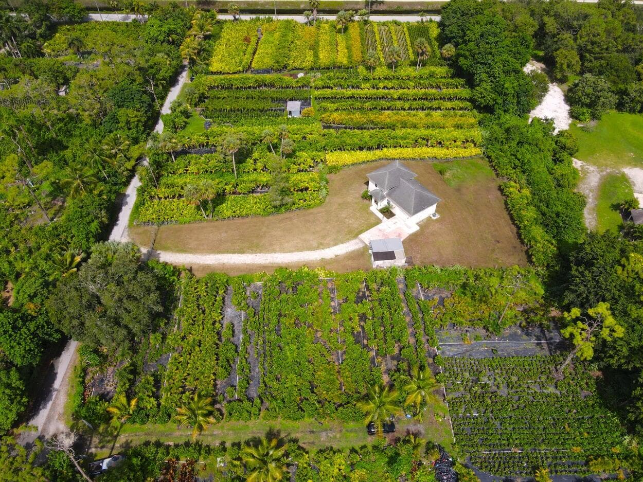 1550 C Road, Loxahatchee Groves, FL 33470 — photo 21 of 23