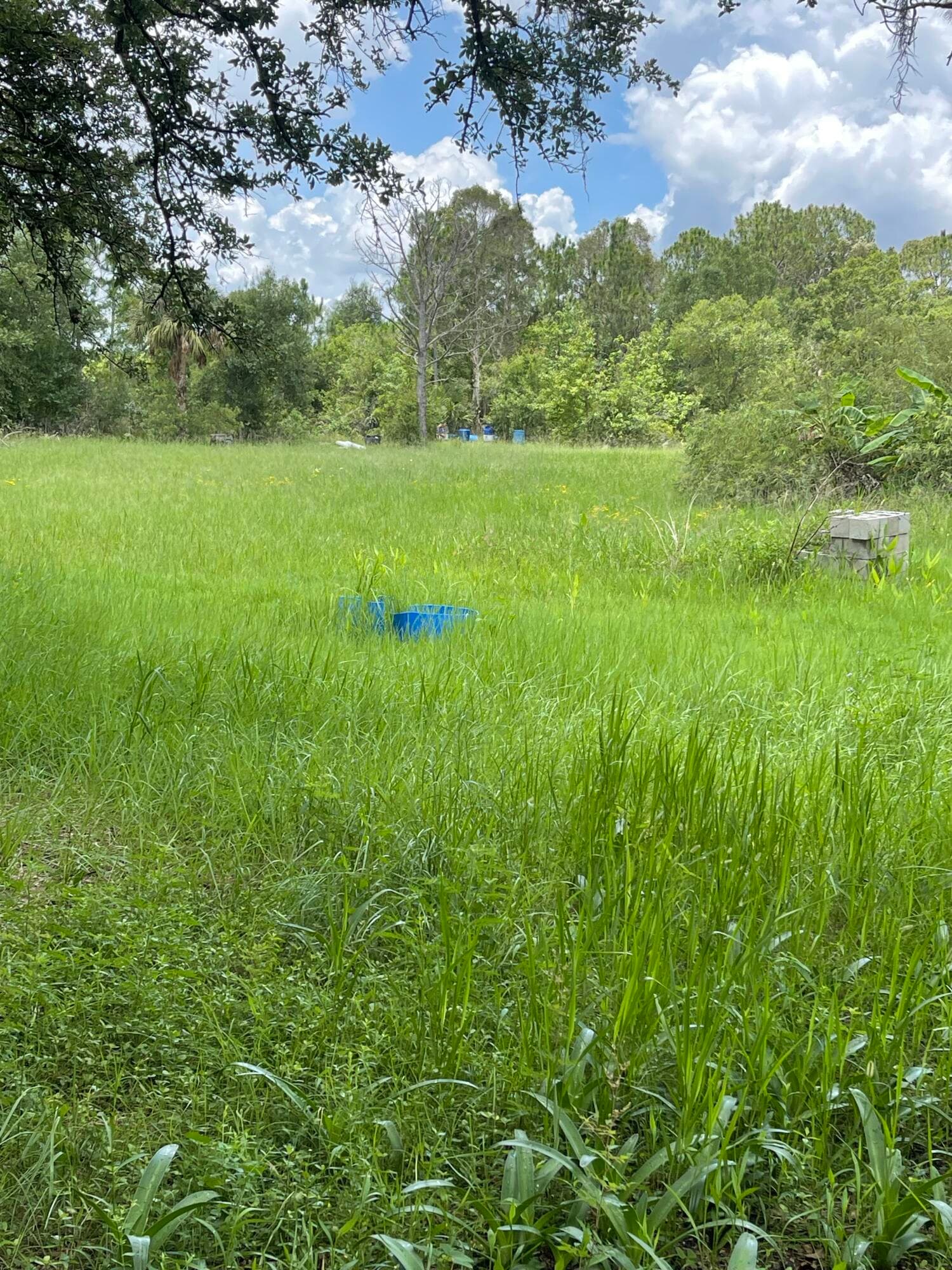 13822 Hamlin Avenue, Clewiston, FL 33440 — photo 17 of 30